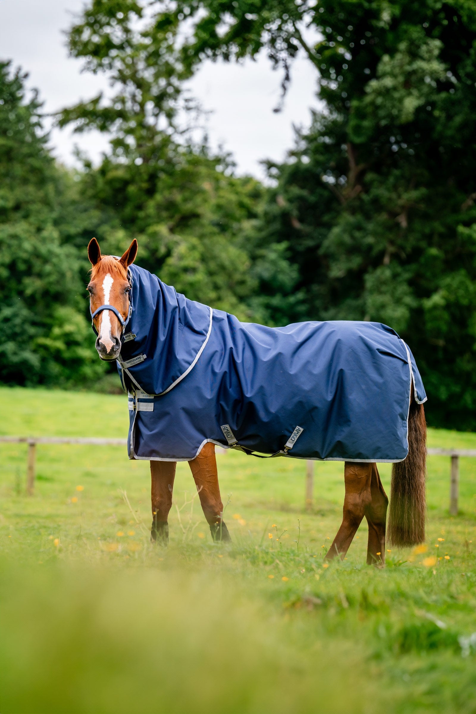 Horseware Amigo Ripstop 900D Plus výběhová deka s odepínacím krčním dílem, 100 g Horse Rugs