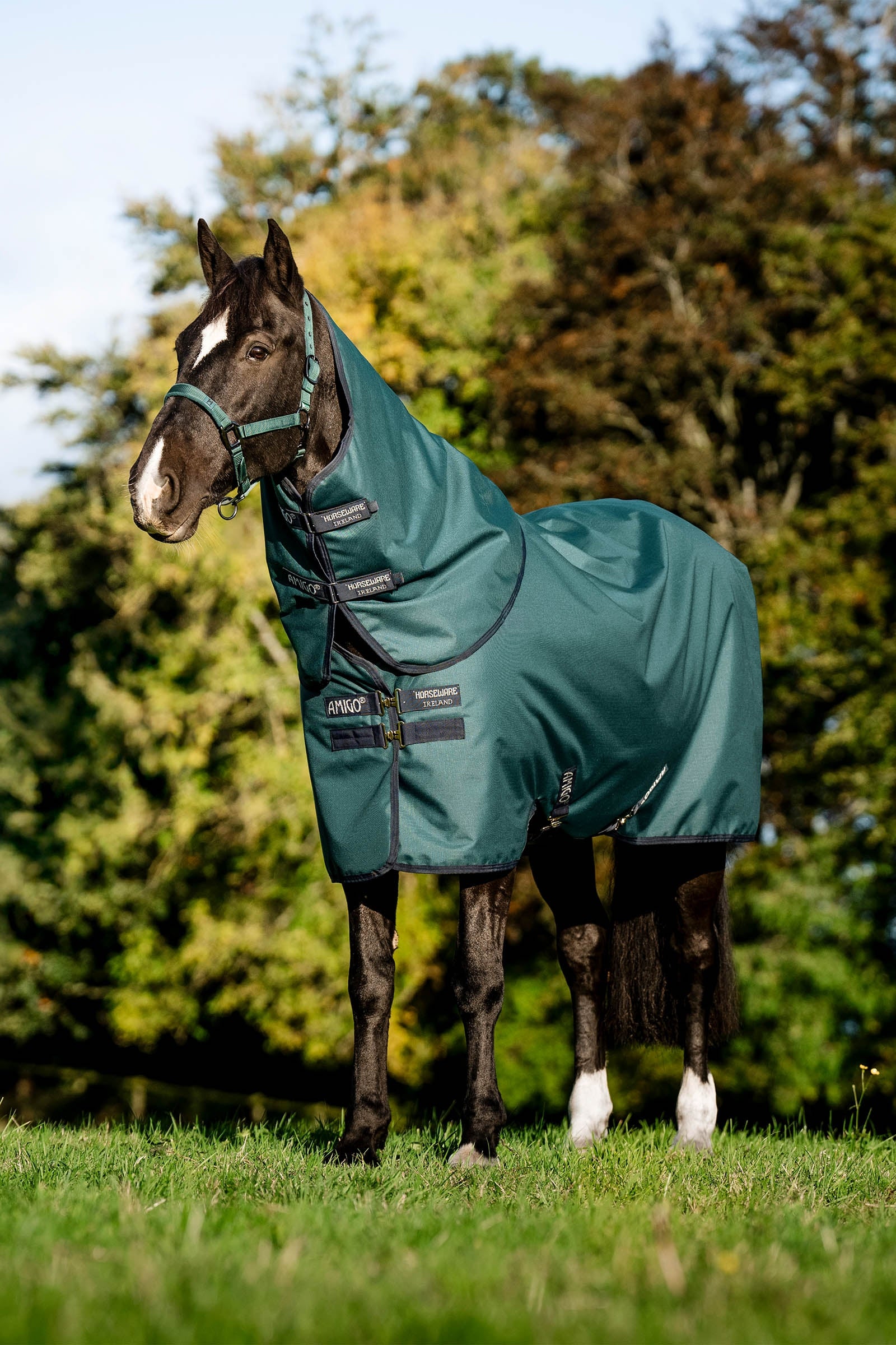 Horseware Amigo Ripstop 900D Plus Turnout Rug With Detachable Neck, 0 g Horse Rugs
