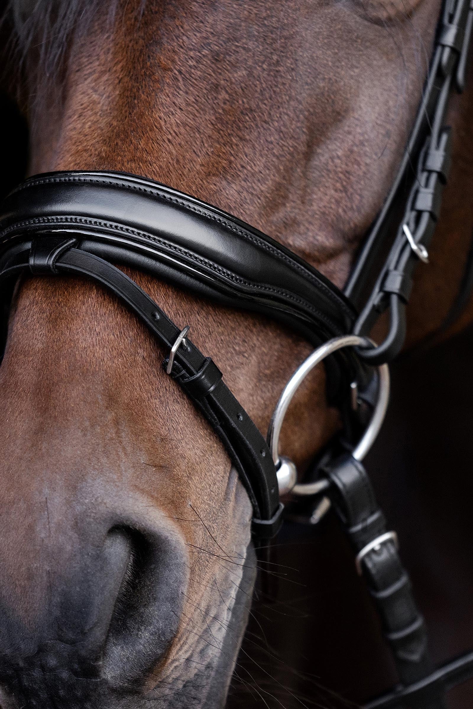 Waldhausen S-Line Blackshine Bridle Patent Leather Bridles & Reins