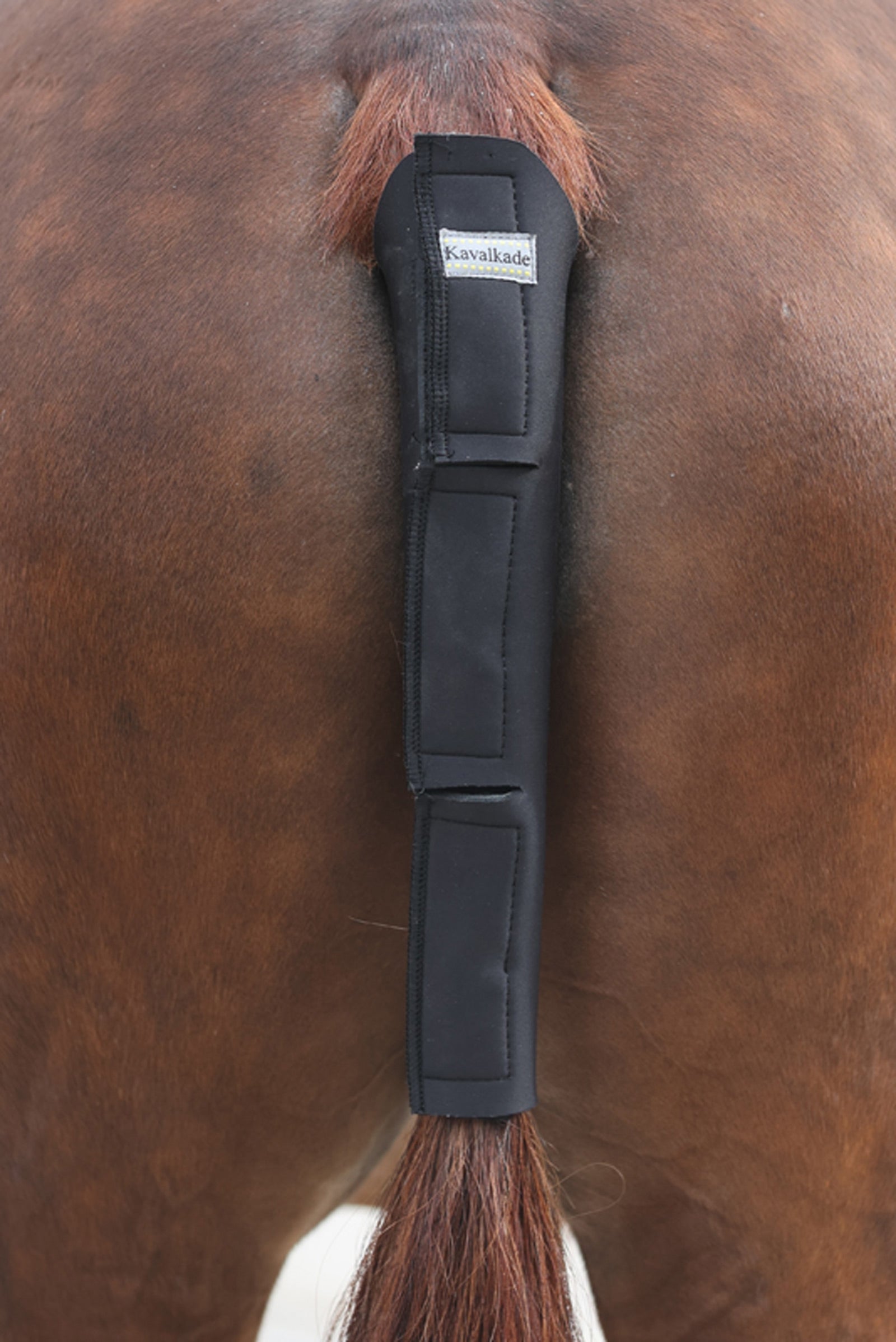 Kavalkade Neoprenová ochrana ocasu Horse Rugs