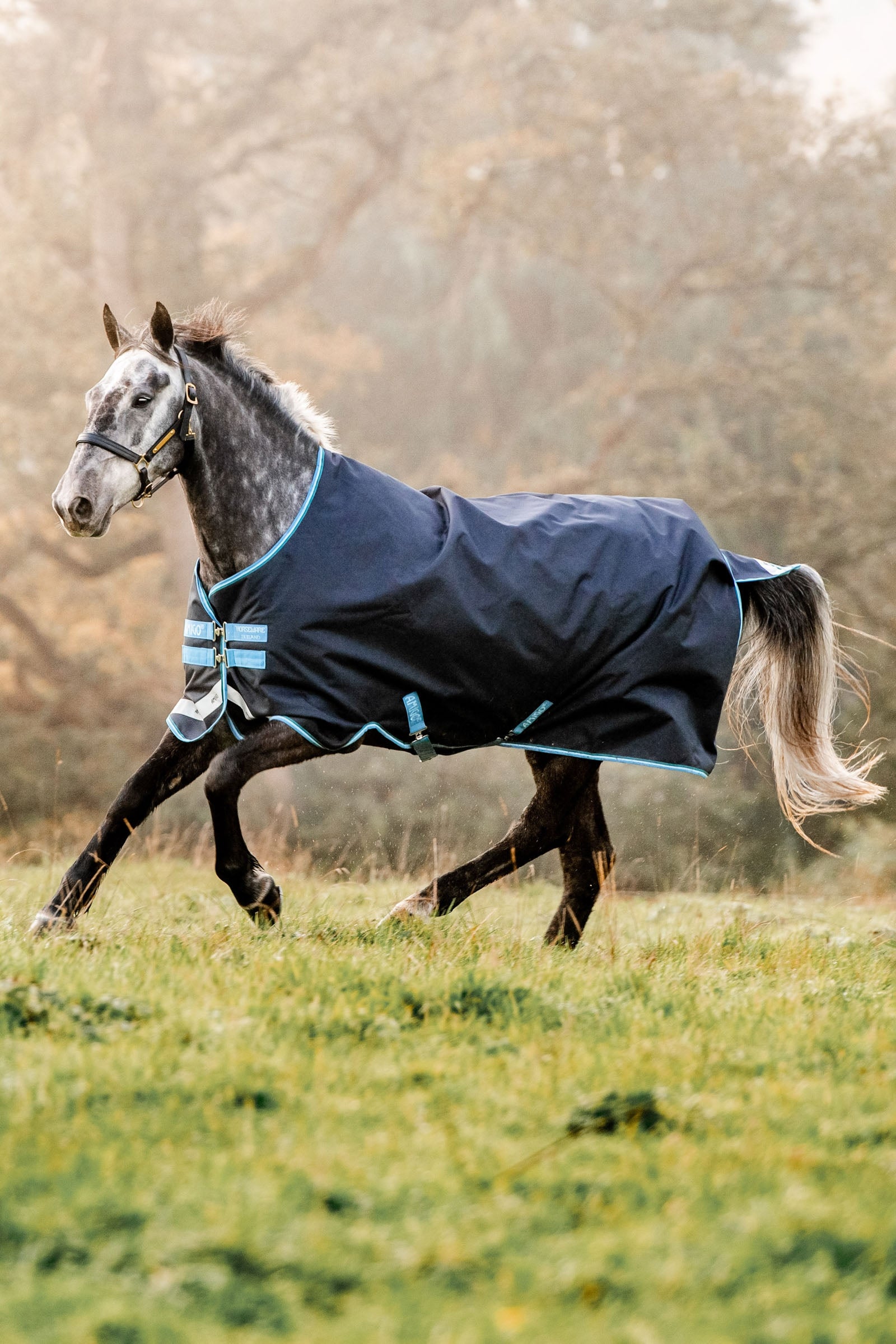Horseware Amigo Bravo 12 výběhová deka, 100g Horse Rugs