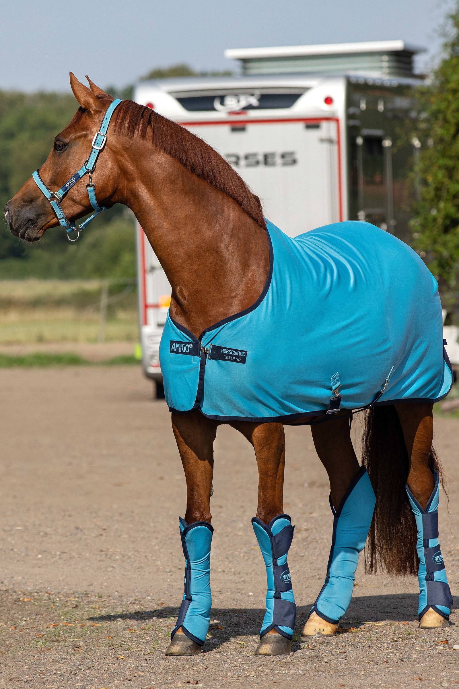 Horseware Amigo jerseyová odpocovací deka Horse Rugs
