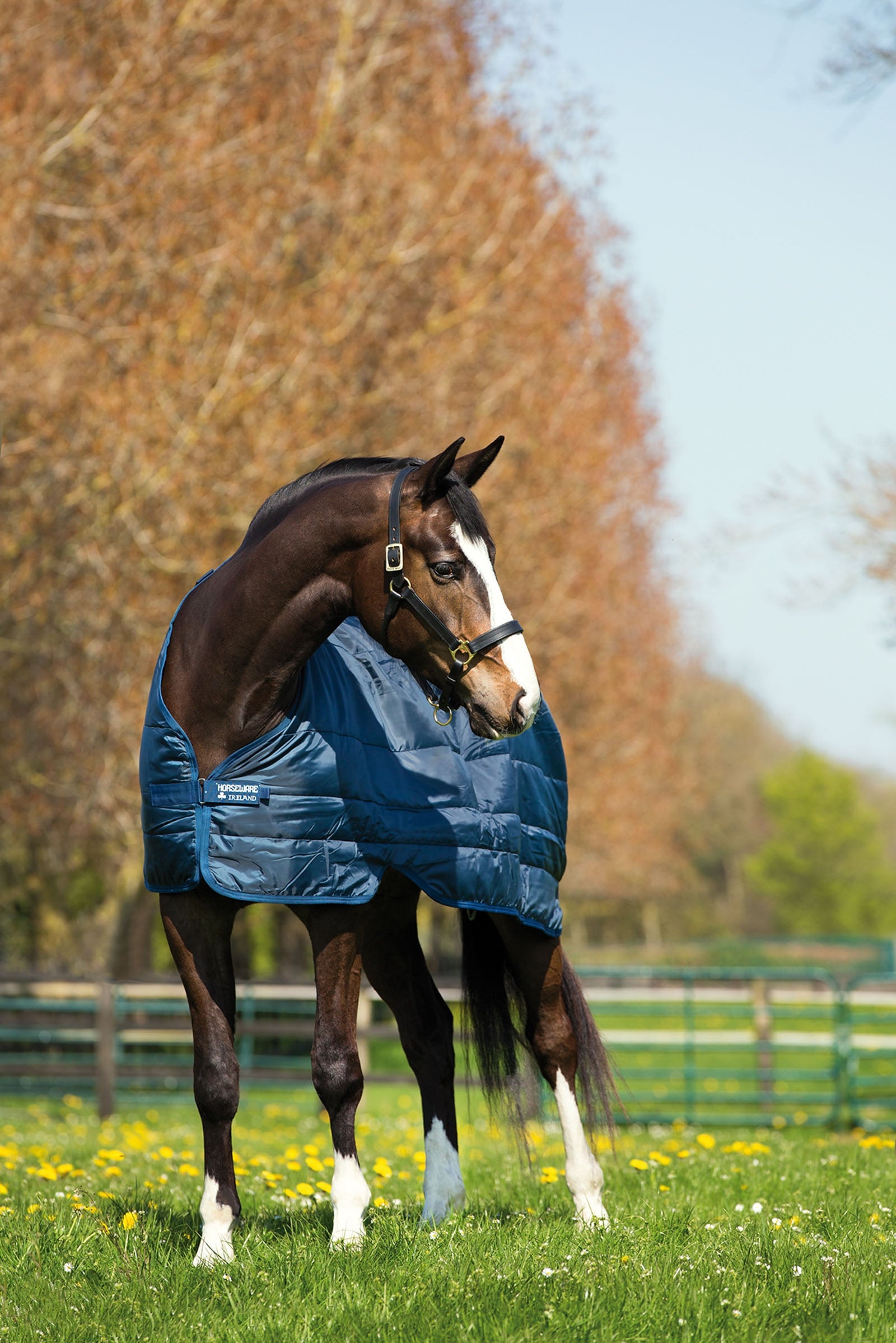 Horseware Liner podložní deka, 200 g Horse Rugs
