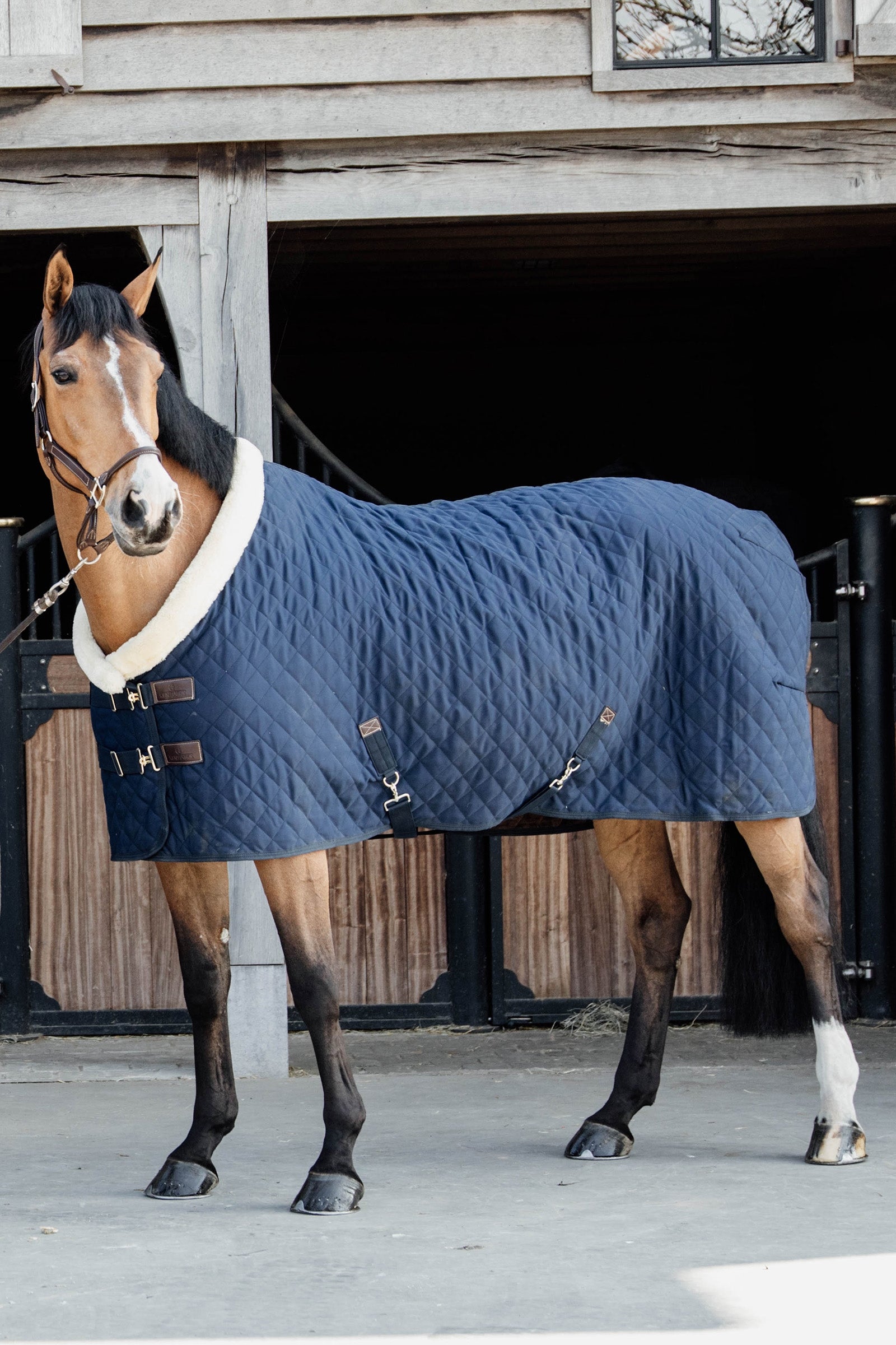 Kentucky Horsewear Turnierdeka 160g Horse Rugs