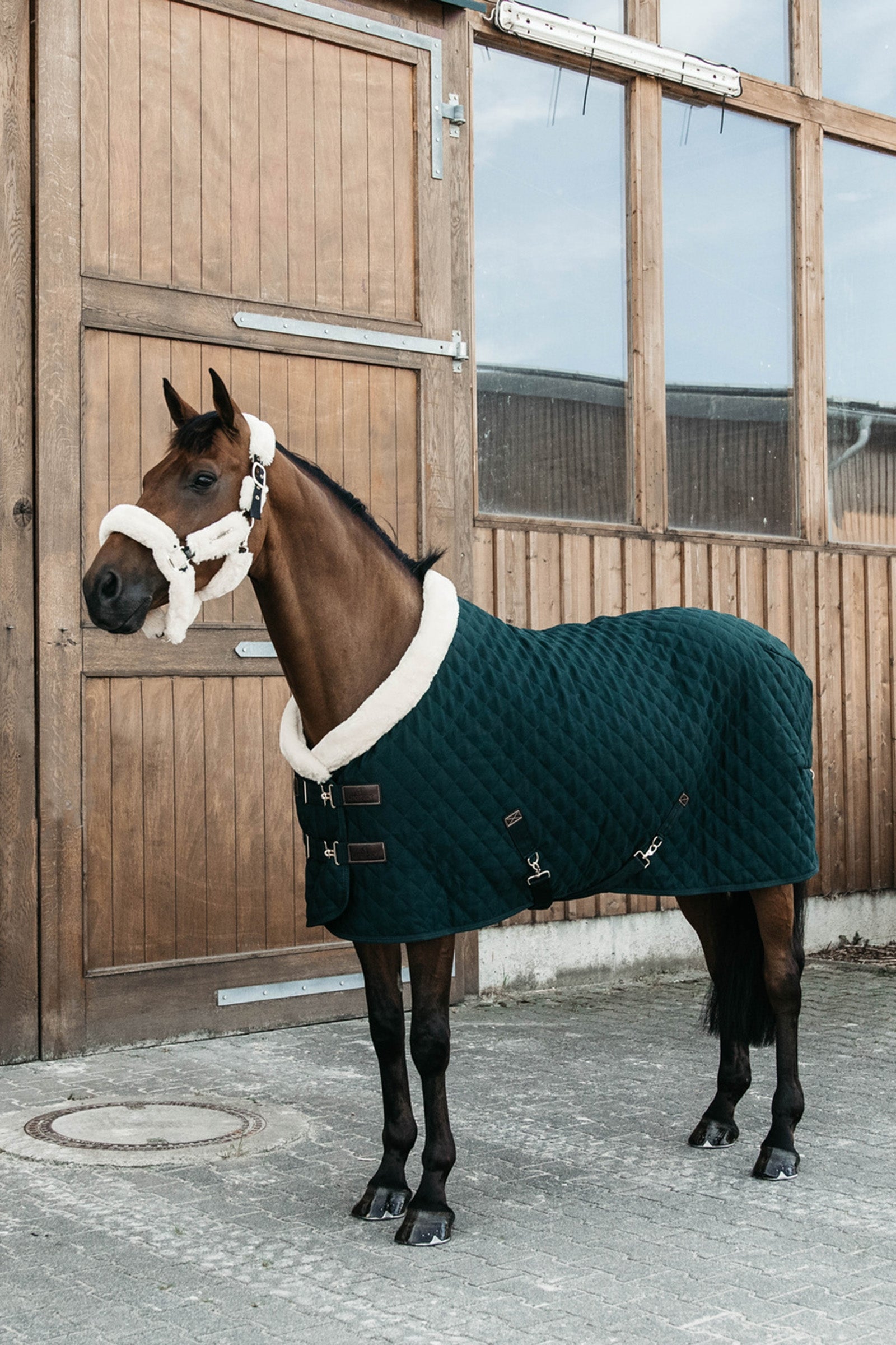 Kentucky Horsewear Turnierdeka 160g Horse Rugs