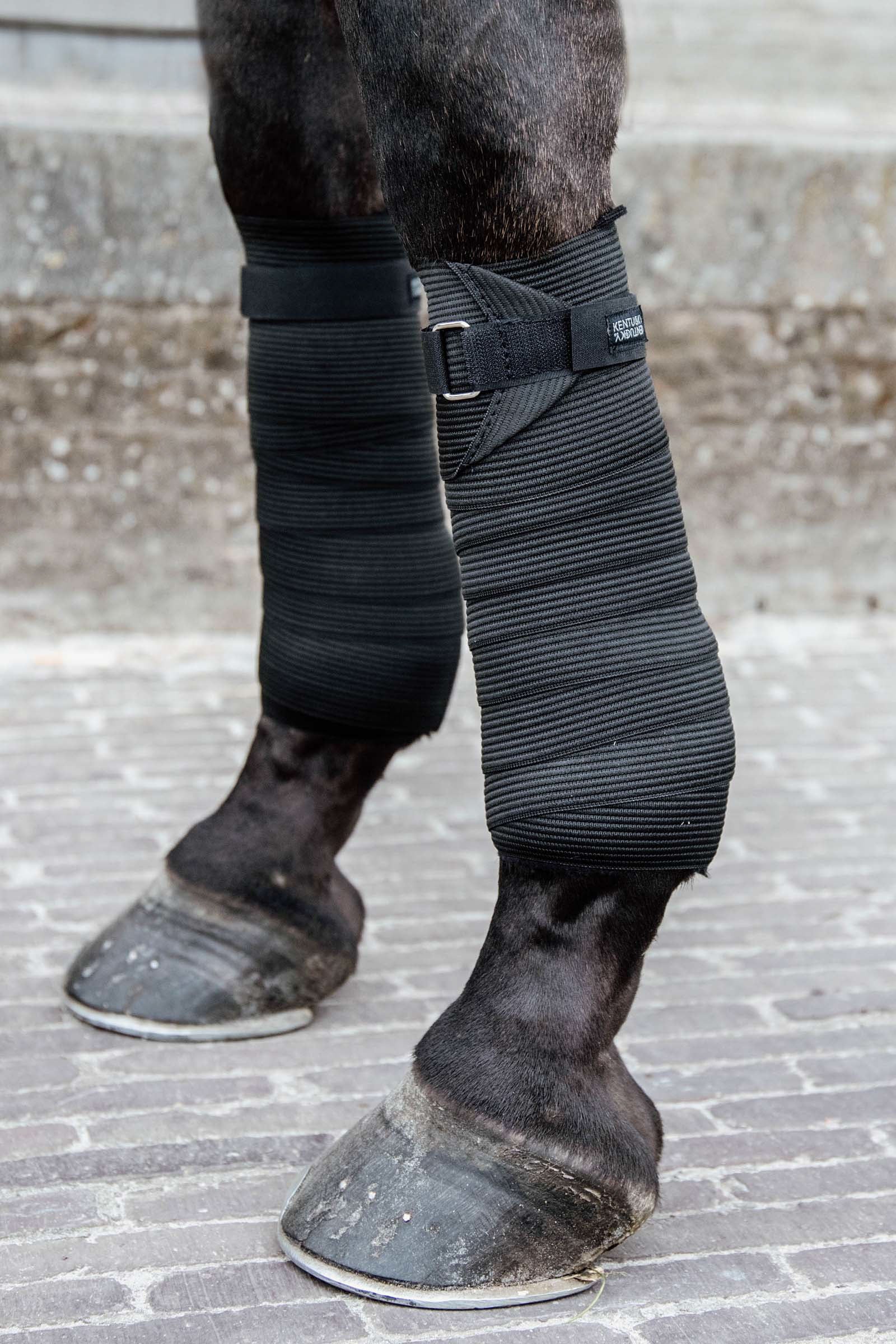 Kentucky Horsewear Polar Fleece & elastic bandage Leg Protection & Hoof Protection for Horses