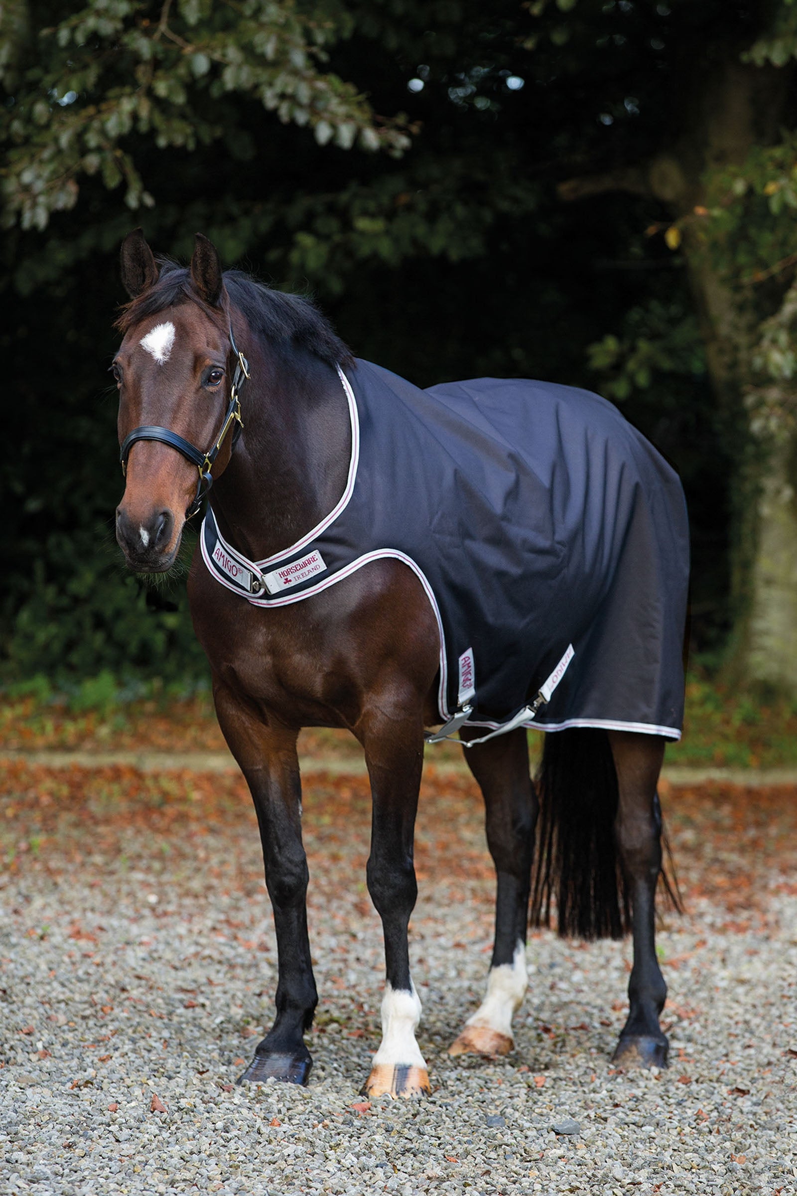 Horseware Amigo koberec Walker, 100g Horse Rugs