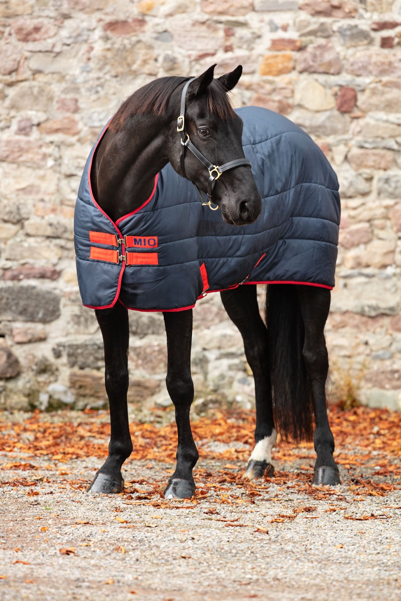 Horseware Mio Insulator stájový koberec, 150g Horse Rugs