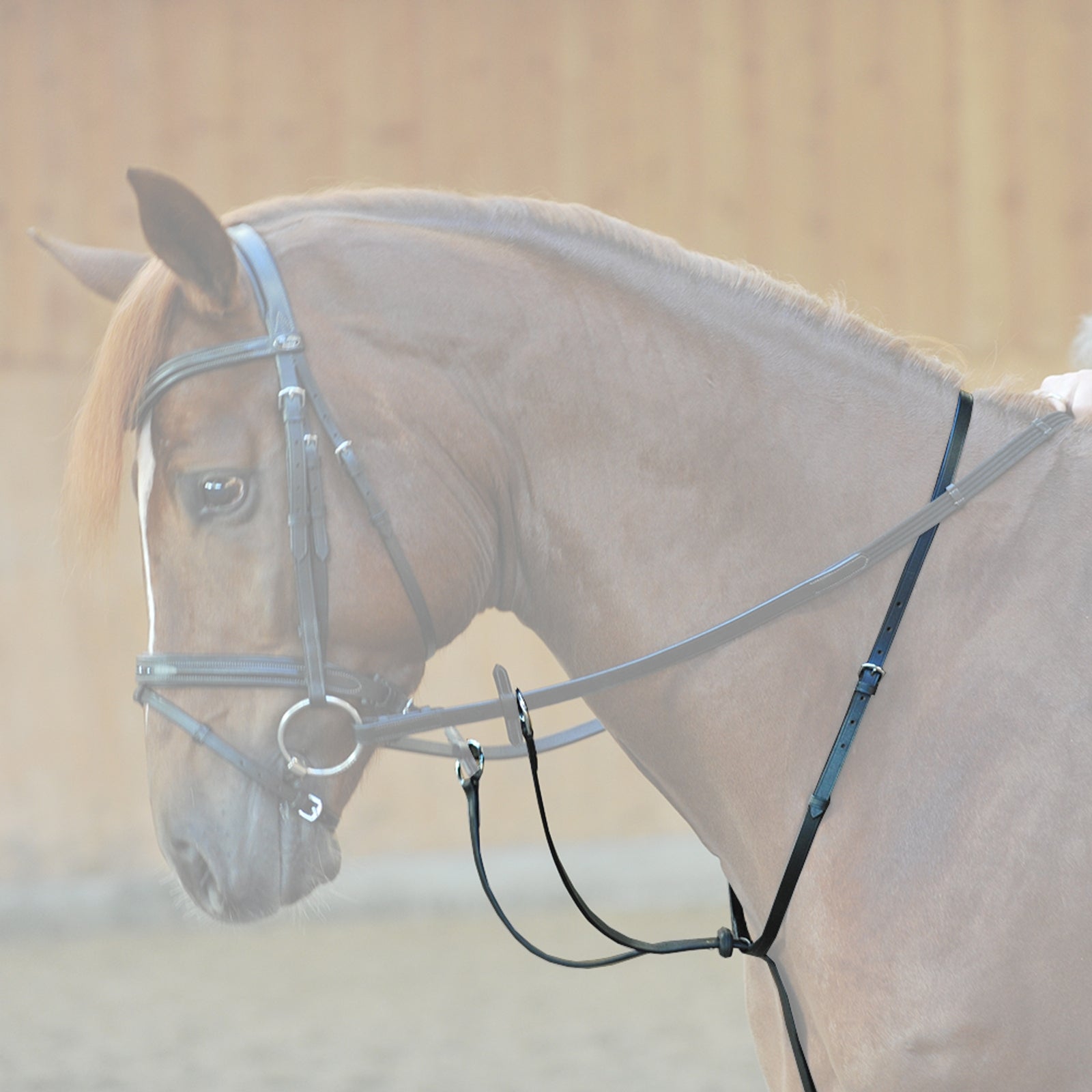 Kavalkade Martingale Bridles & Reins