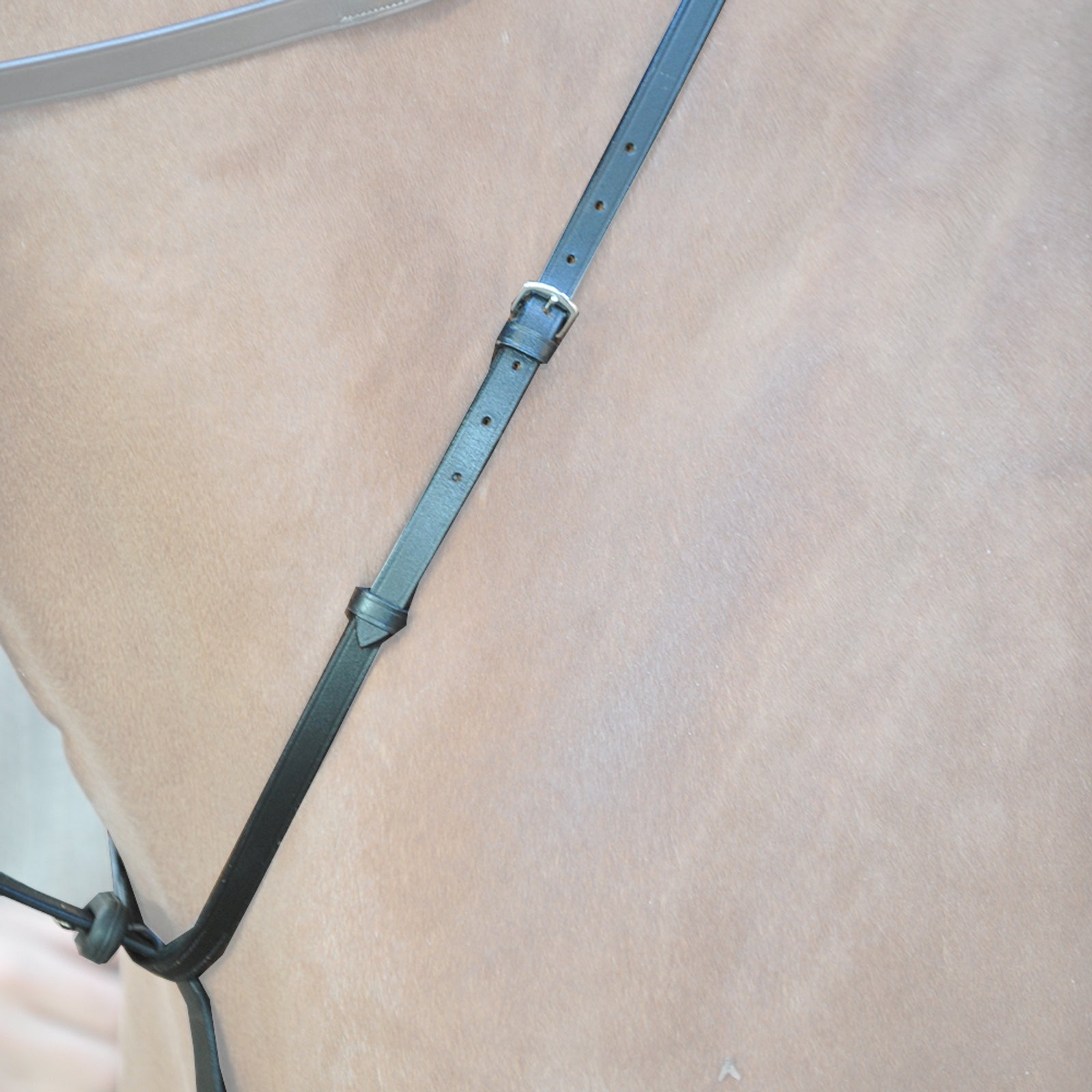 Kavalkade Martingale Bridles & Reins