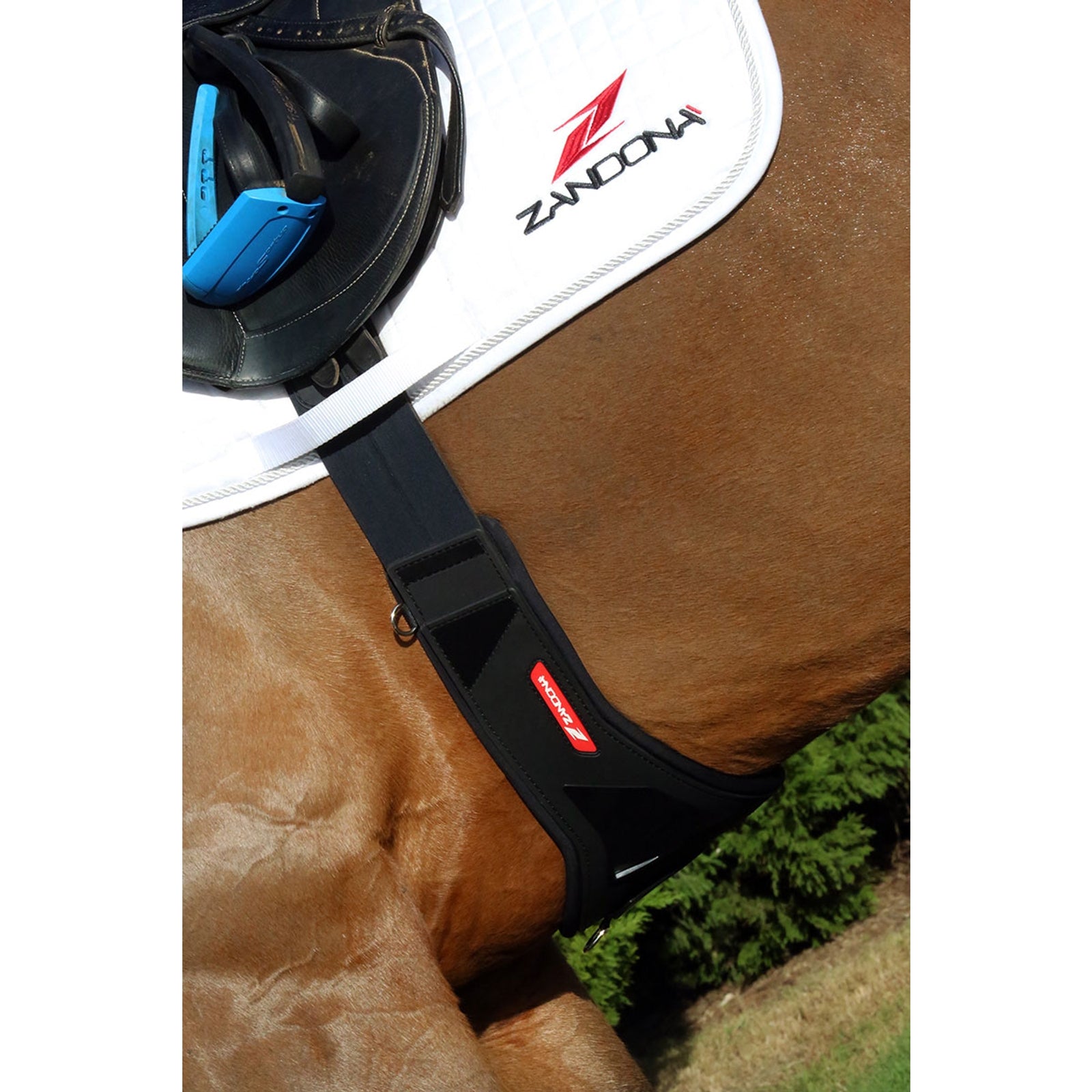 Zandona CARBON AIR Candy Girth Saddles, Girths & Stirrups