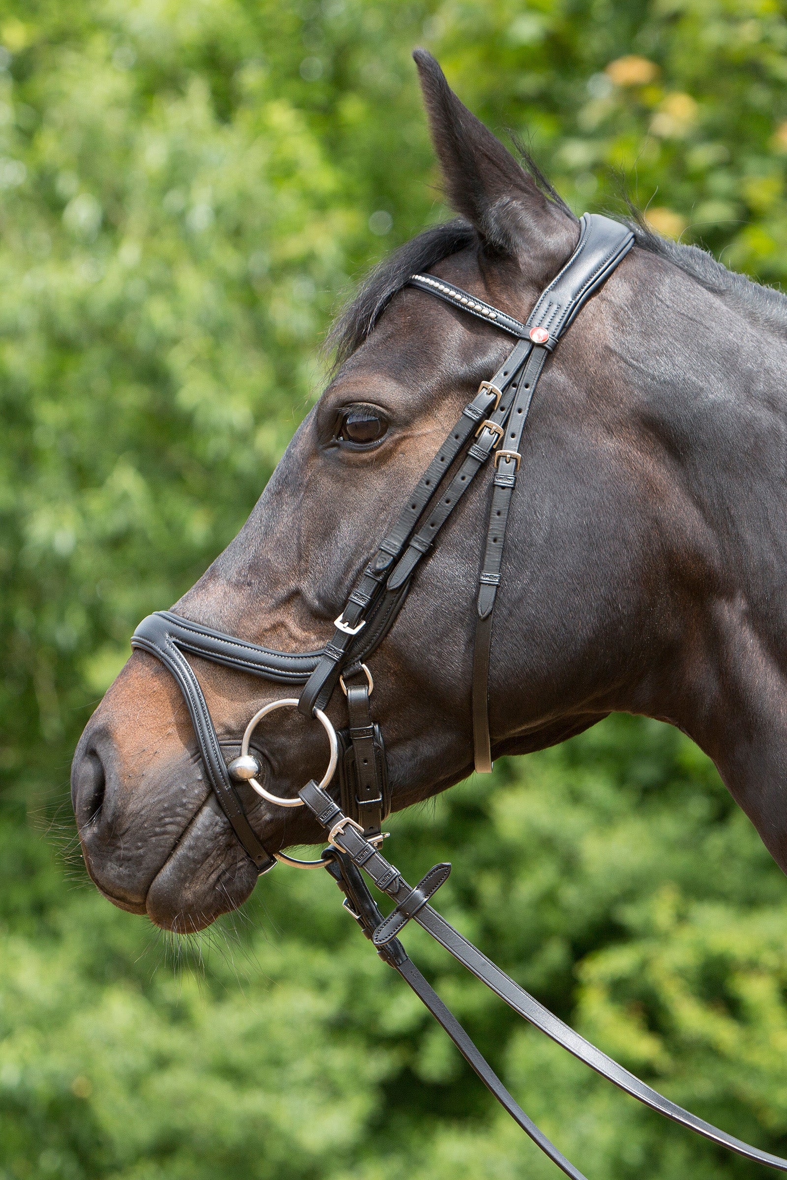 Kieffer Ultrasoft® Tara Bridle Bridles & Reins