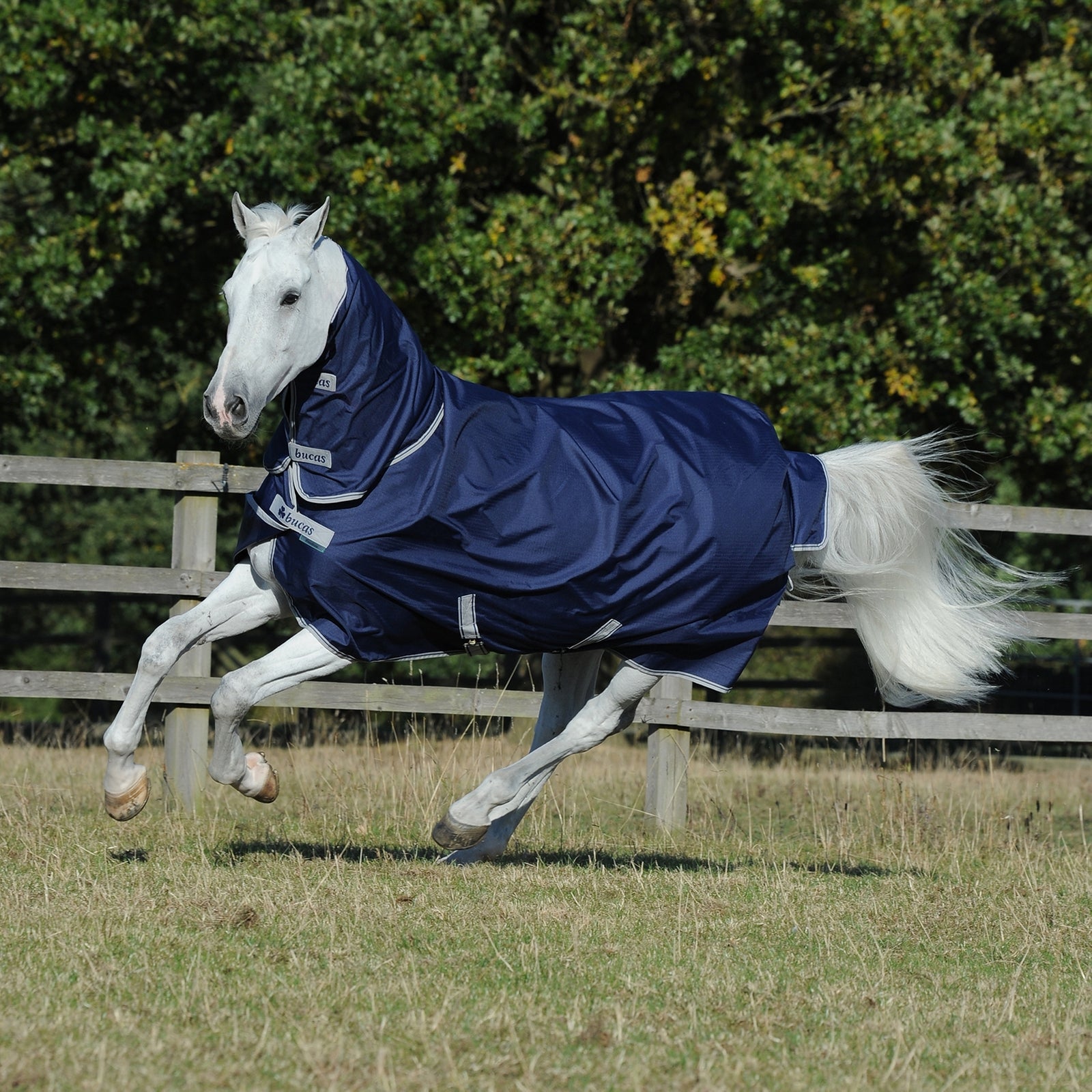 Bucas Freedom výběhová deka pro poníky s pevným plným krkem (150g / 150g) Horse Rugs