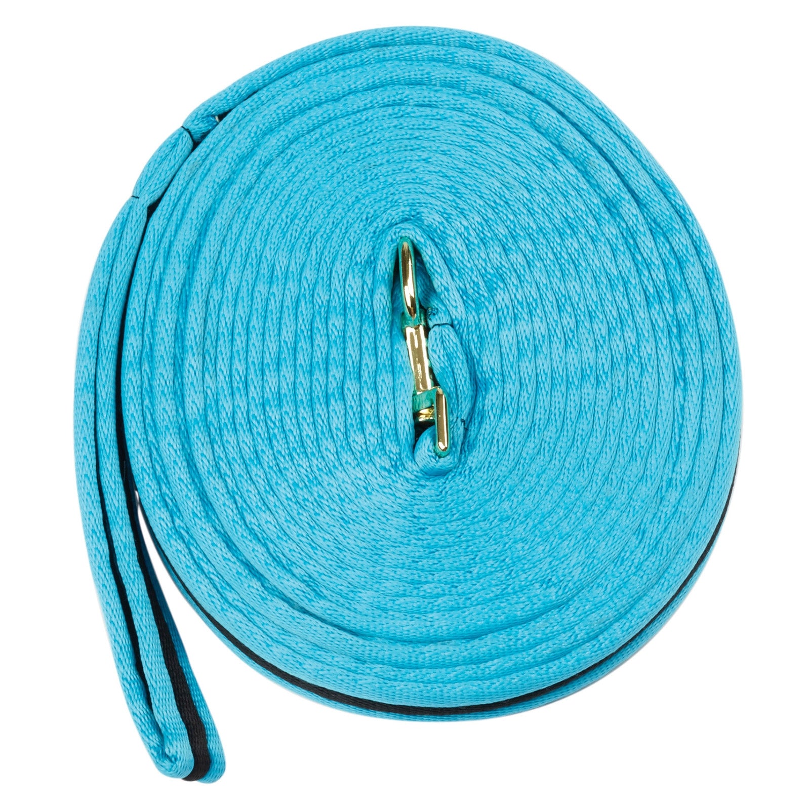 Kincade Brights Two Tone Padded Lunging rein 8m Horse Training