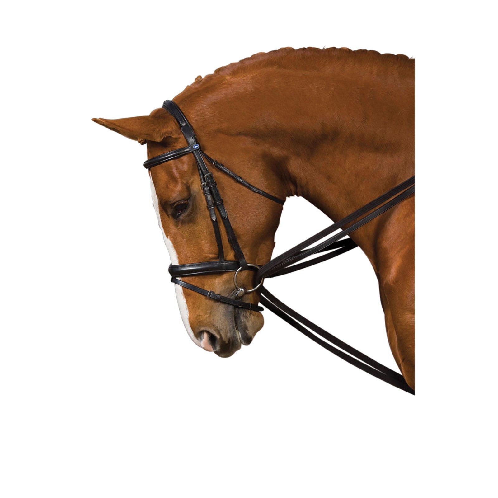 Kincade Web Draw Reins Bridles & Reins
