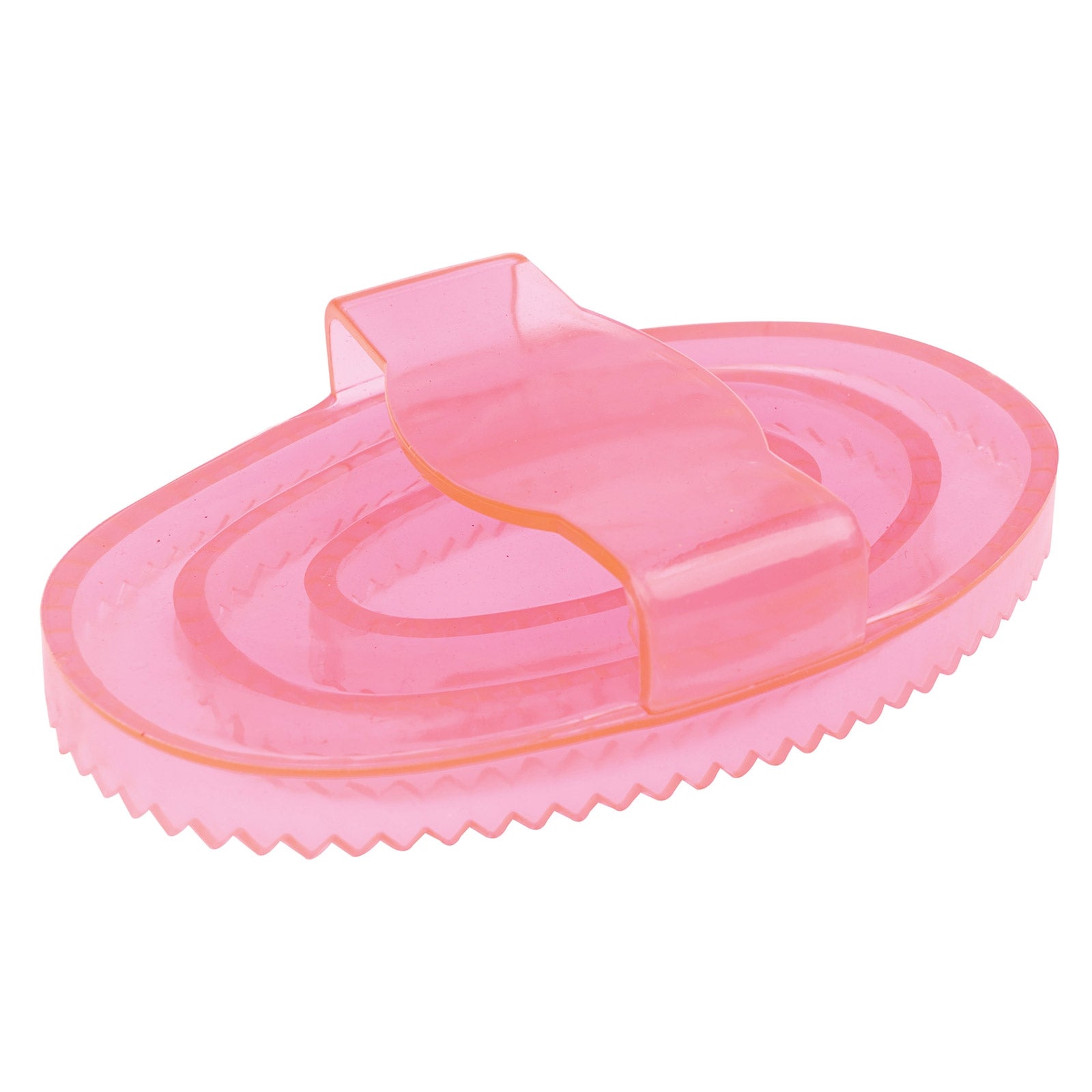 Roma Brights Curry Comb Horse Grooming Tools