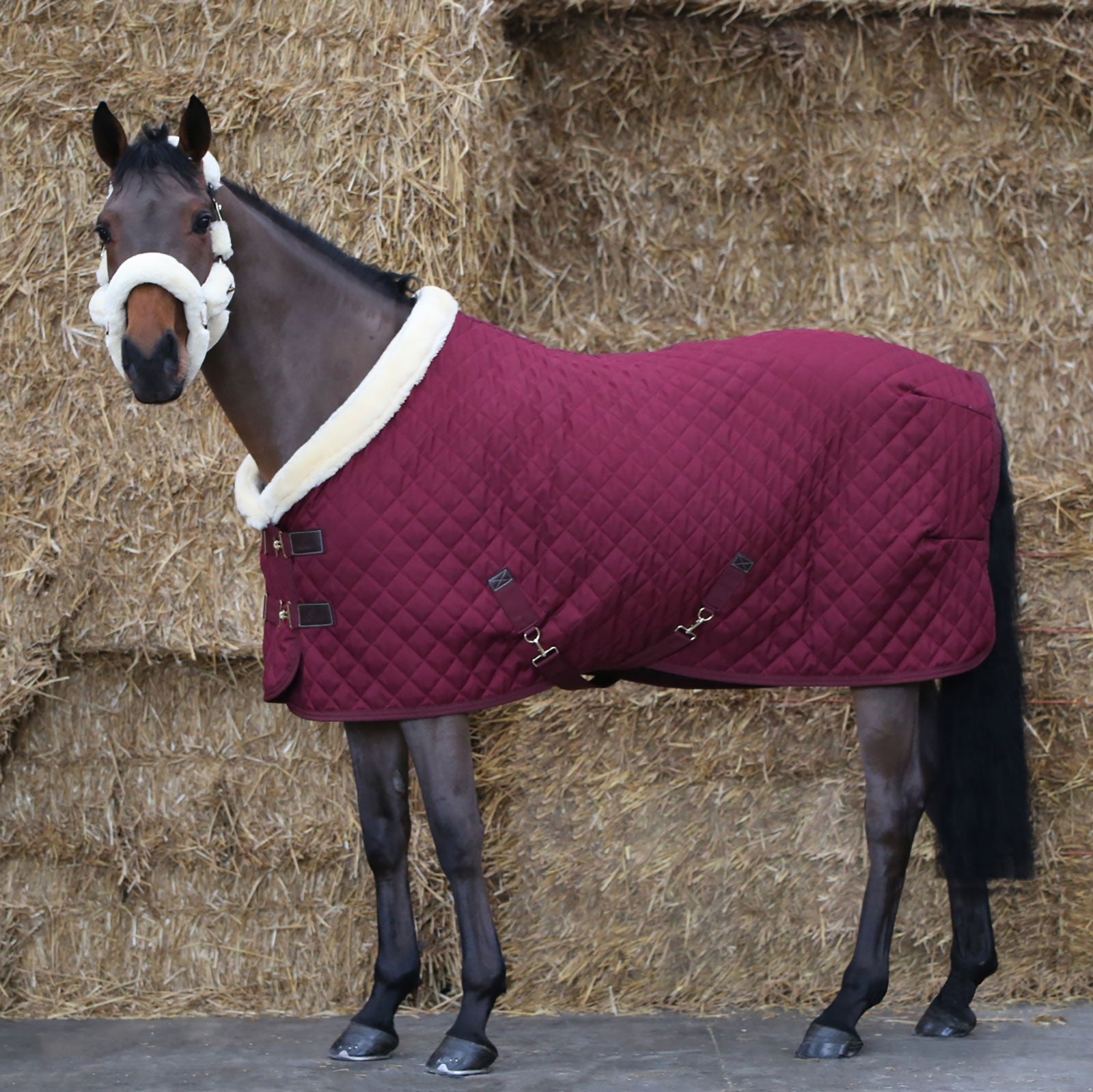 Kentucky Horsewear Show Rug, 160g Horse Rugs