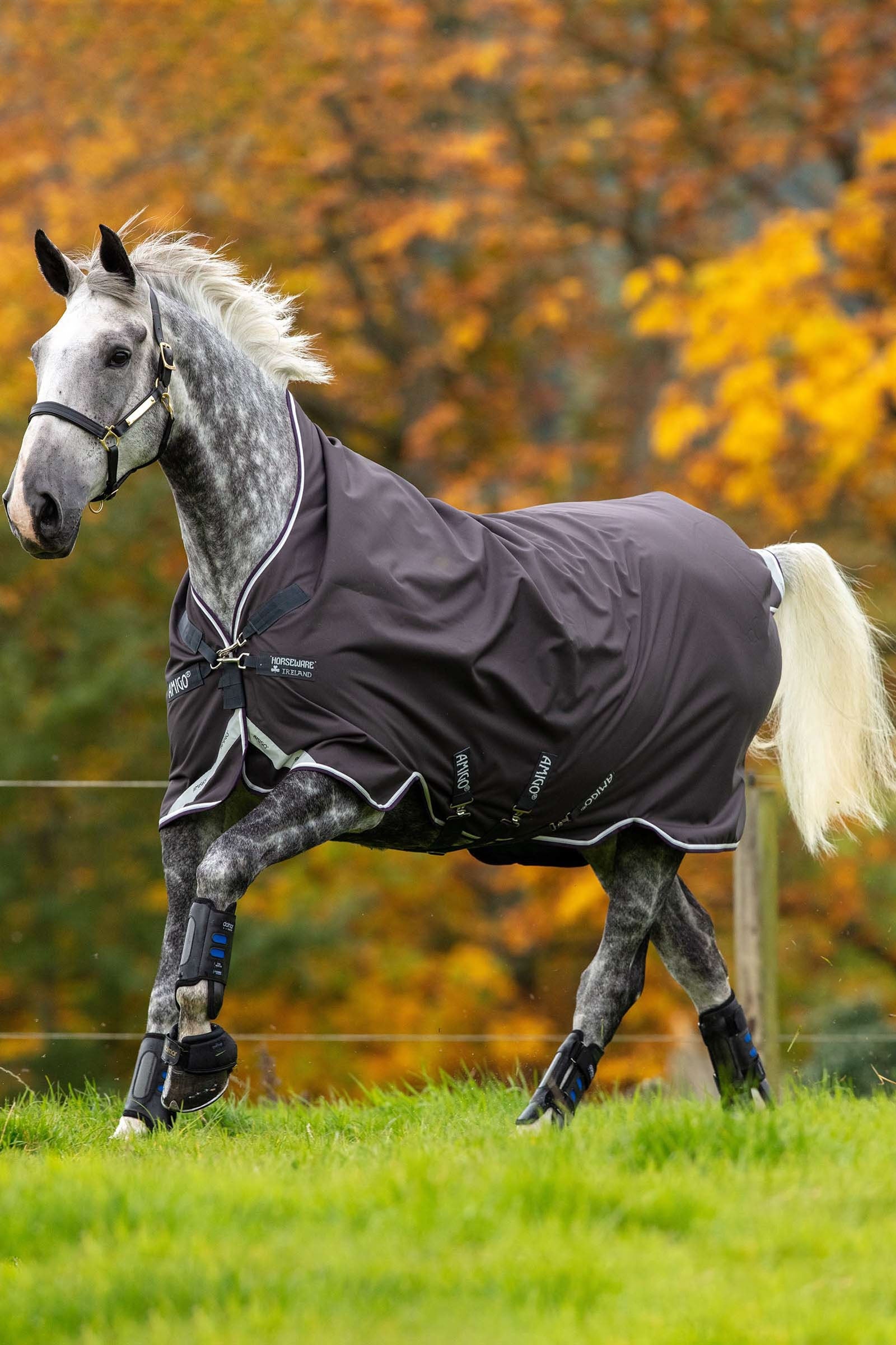Horseware Amigo Bravo 12 Wug výběhová deka s vysokým krkem, 0 g Horse Rugs