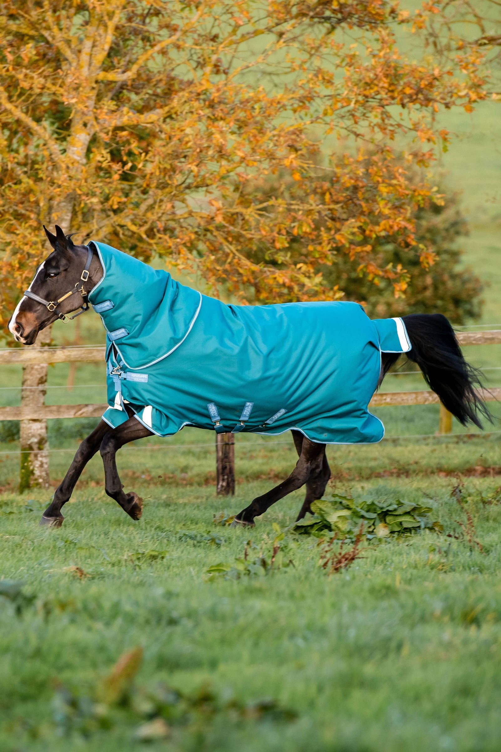 Horseware Amigo Bravo 12 Plus výběhová deka s odnímatelným krkem, 400g Horse Rugs