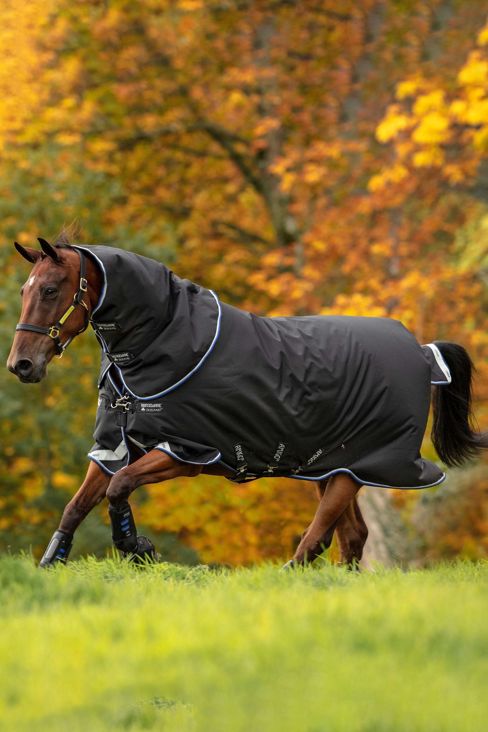 Horseware Amigo Bravo 12 Plus výběhová deka, 250 g Horse Rugs