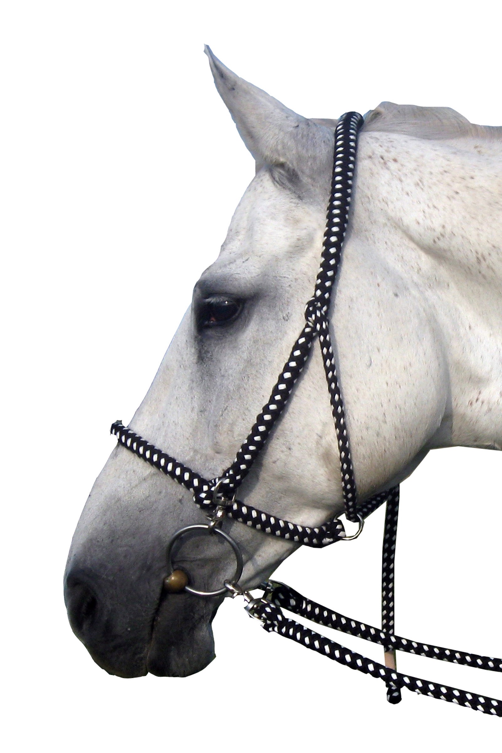 F.R.A. Freedom Riding Articles Gregor ohlávka-uzdečka bavlna včetně otěží Halters & Leads