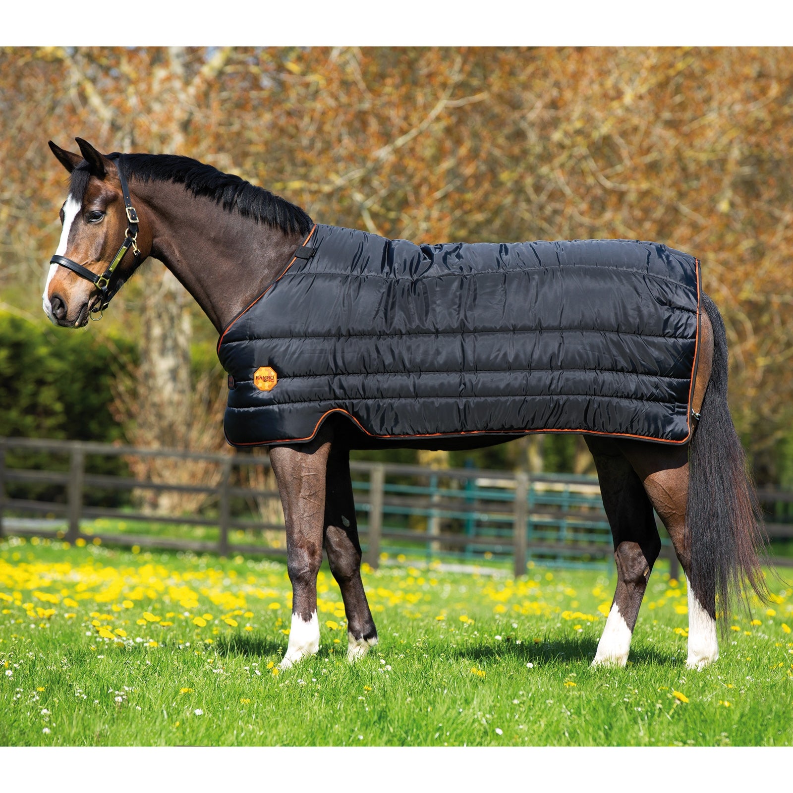 Horseware Rambo Ionic Stable- & Under Rug, 100g Horse Rugs