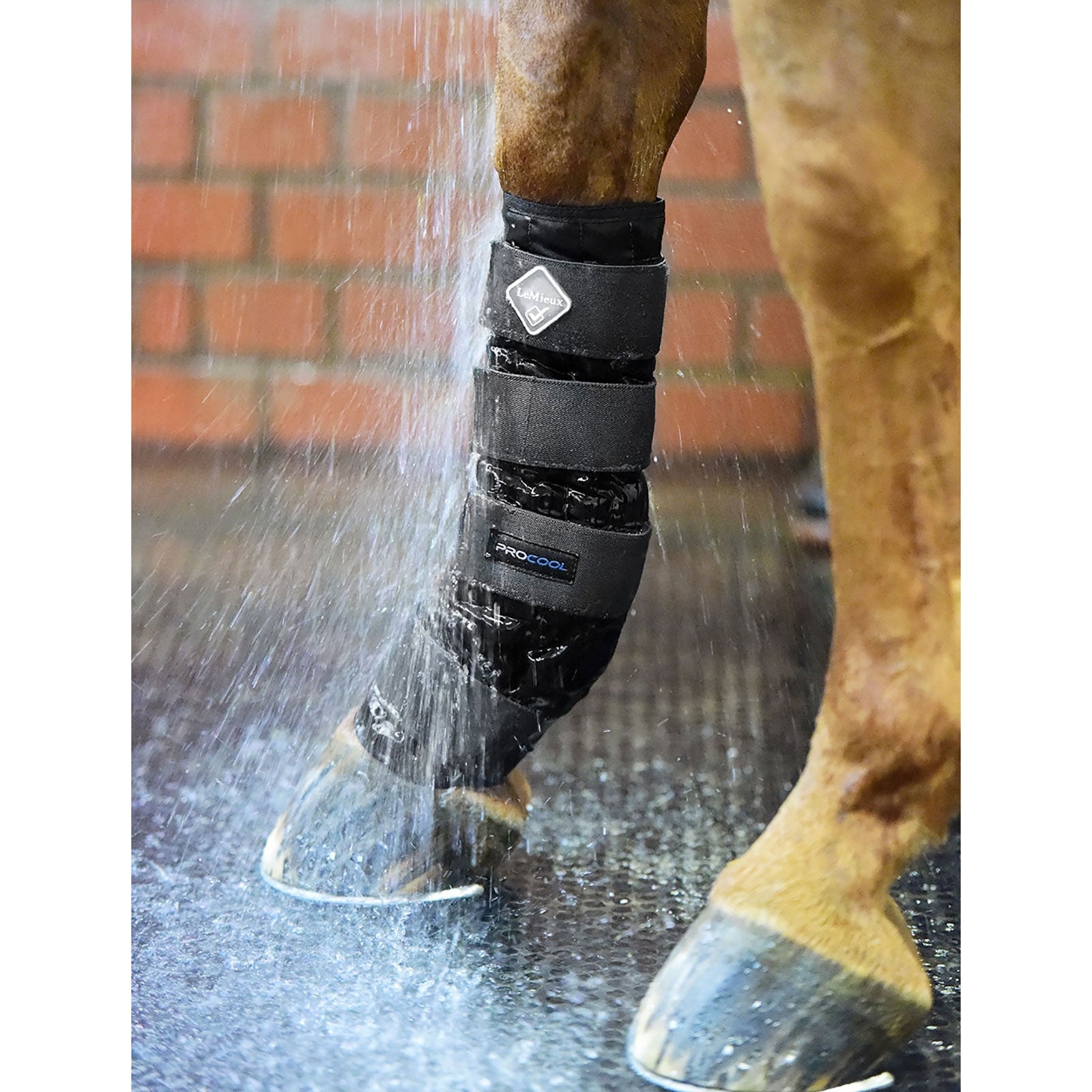 LeMieux Cold Water Boot Leg & Hoof Protection