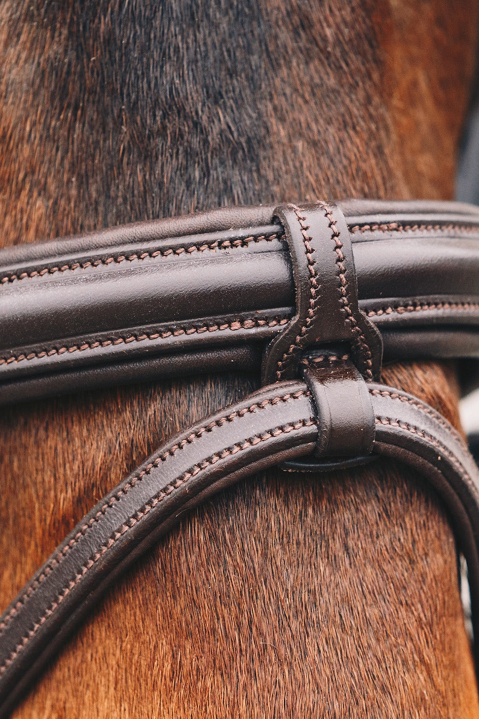 Schockemöhle Sports Tokyo Select Bridle Bridles & Reins