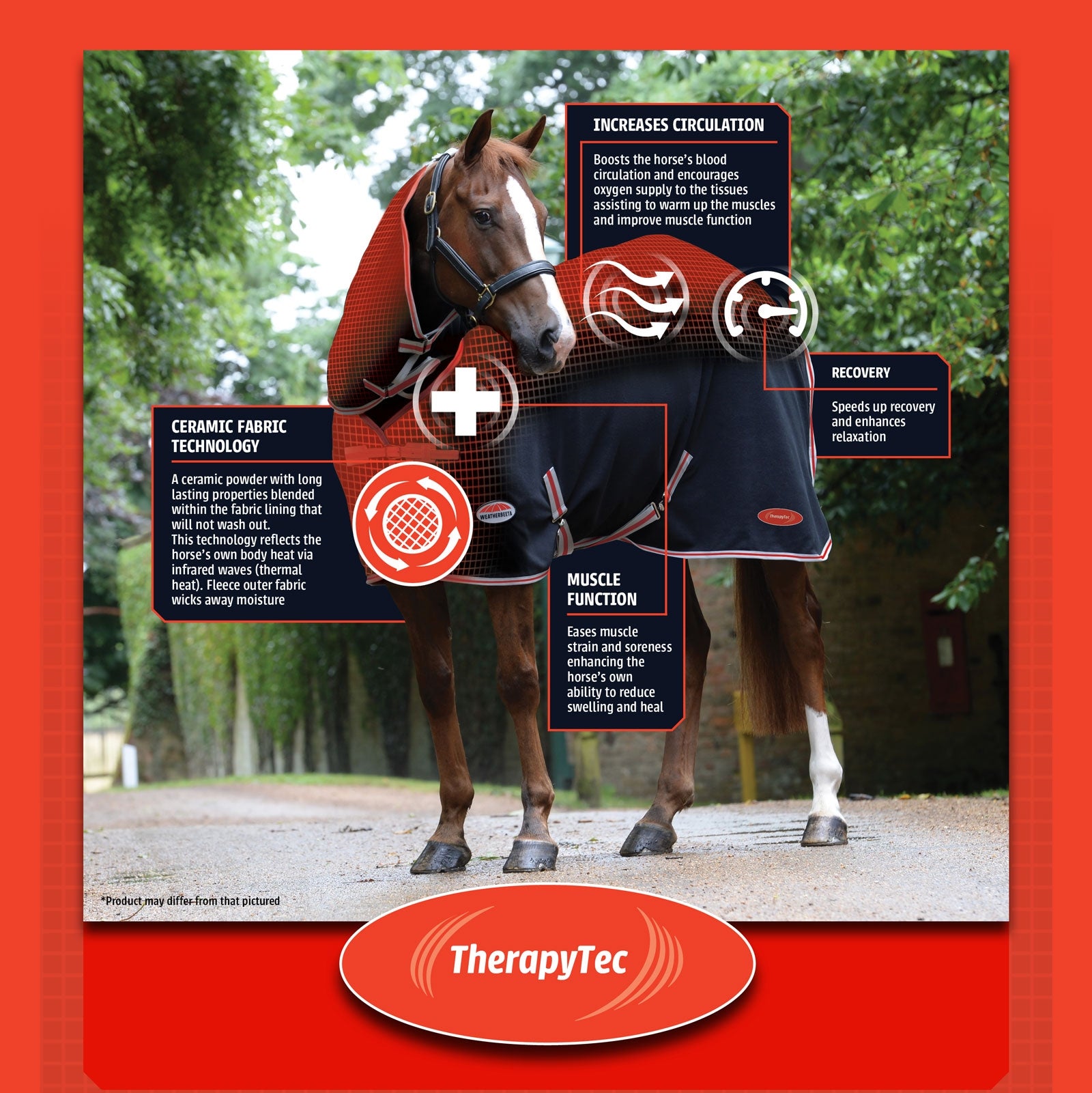 Weatherbeeta Therapy-Tec Standard Neck Horse Rugs