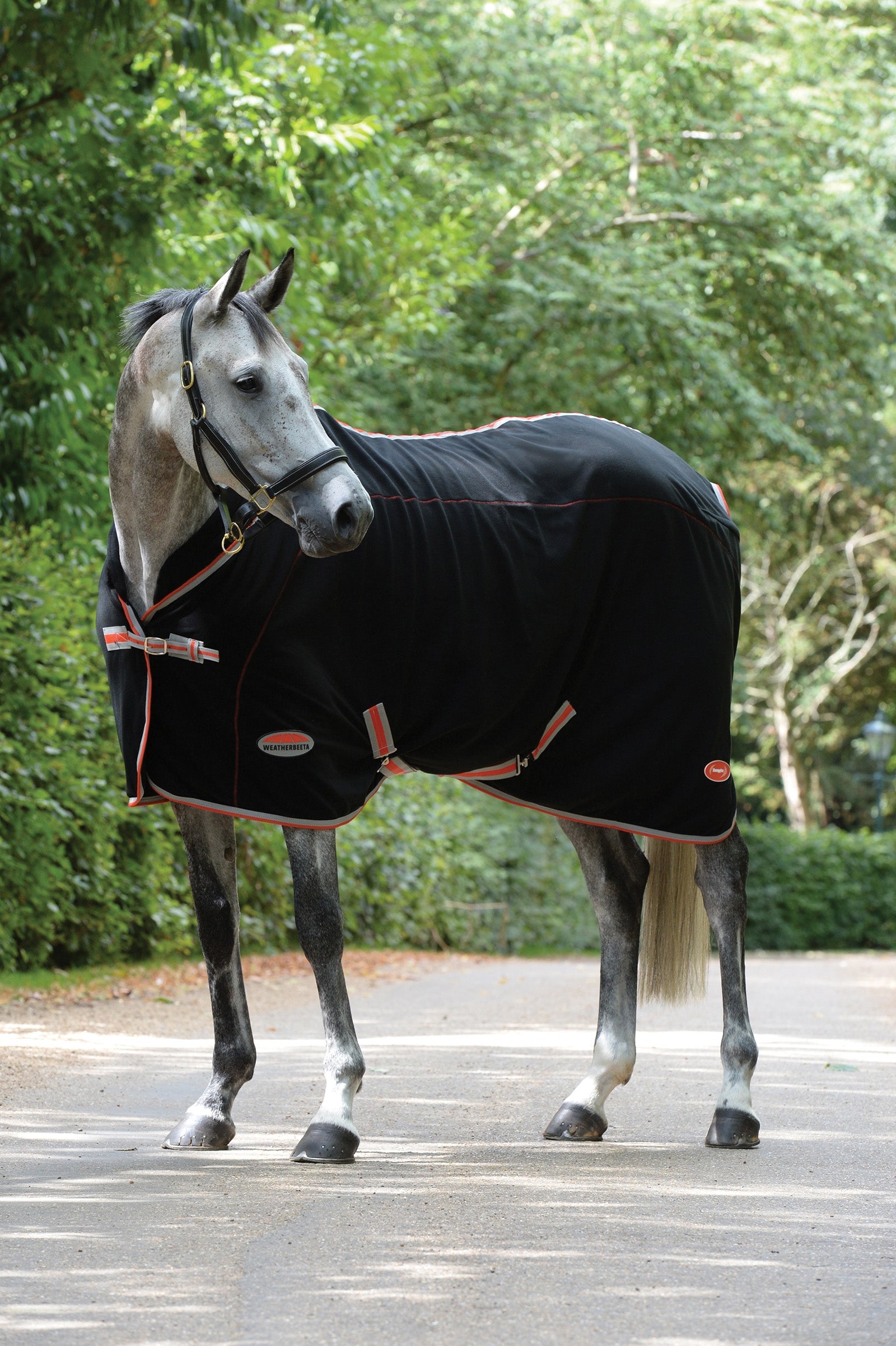 Weatherbeeta Therapy-Tec Standard Neck Horse Rugs