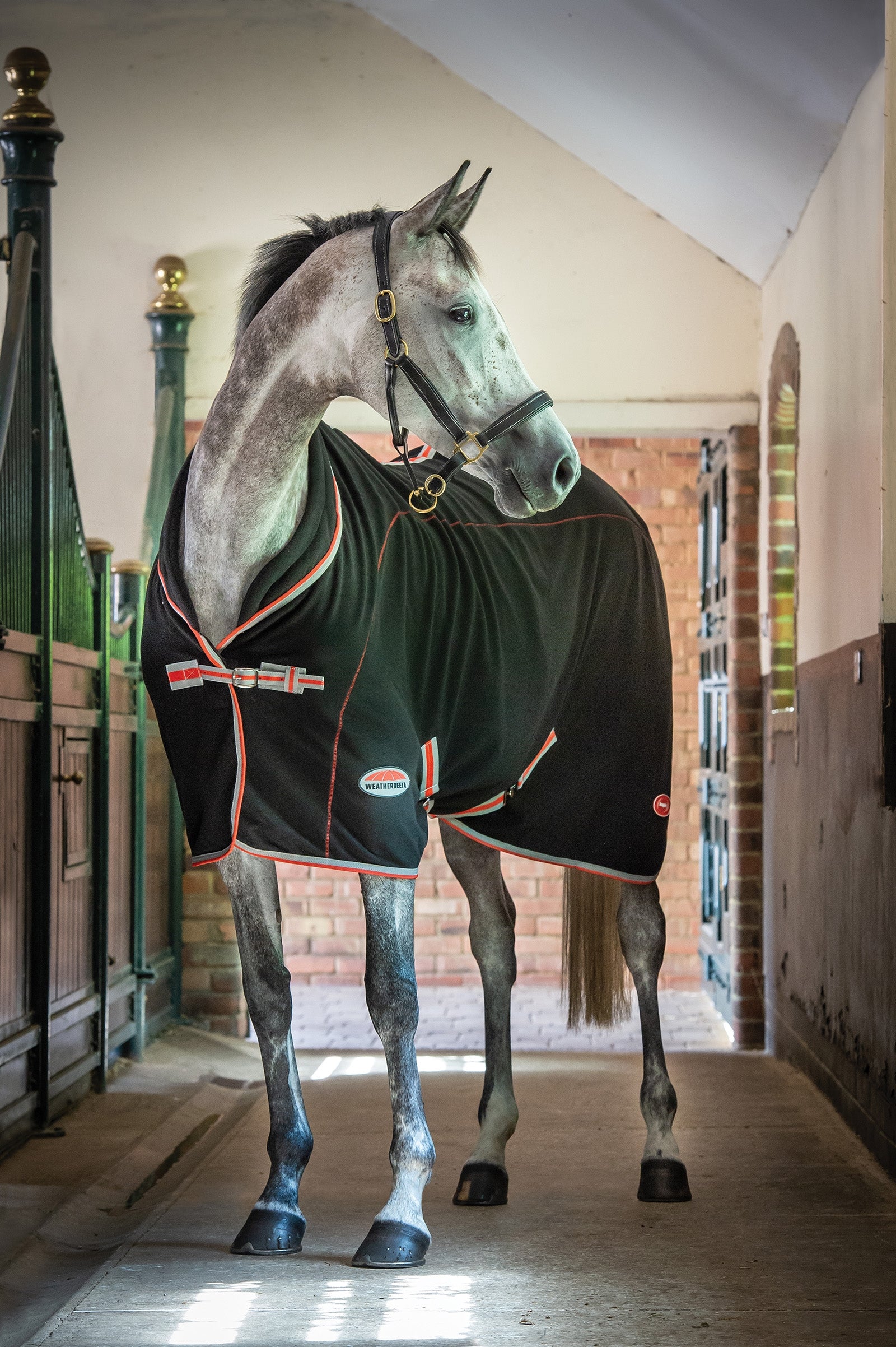 Weatherbeeta Therapy-Tec Standard Neck Horse Rugs