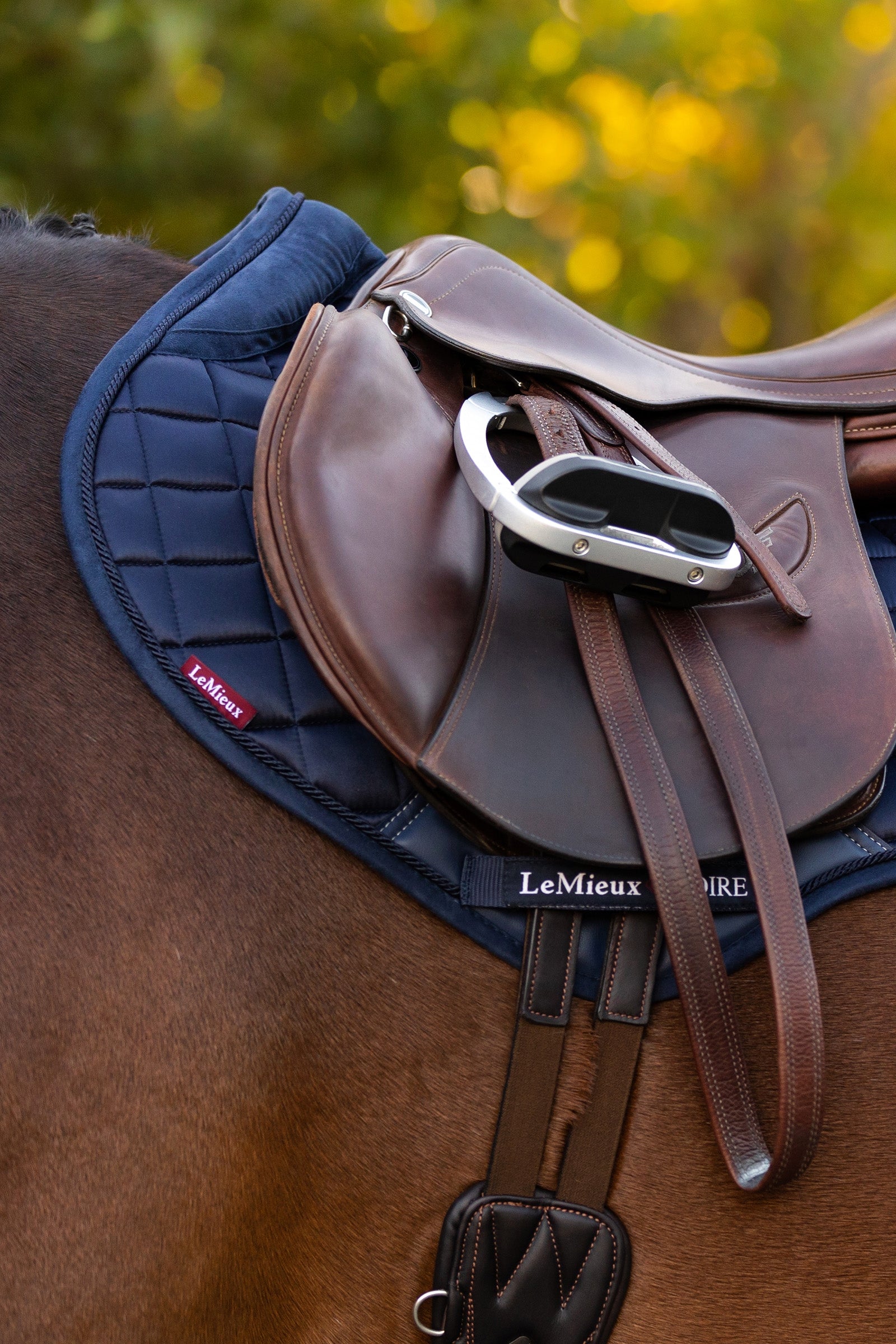 LeMieux Loire Memory CC Jumping Saddle Pad Saddle Pads