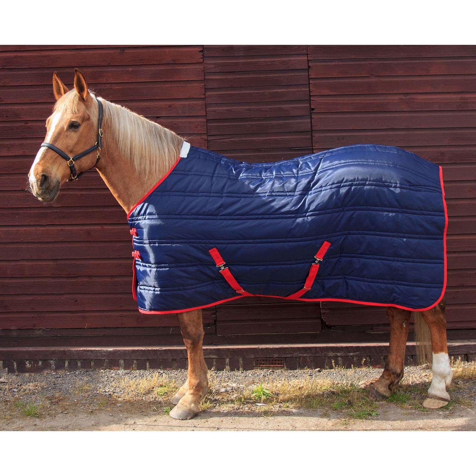John Whitaker JW Thomas 250g Stable rug Horse Rugs