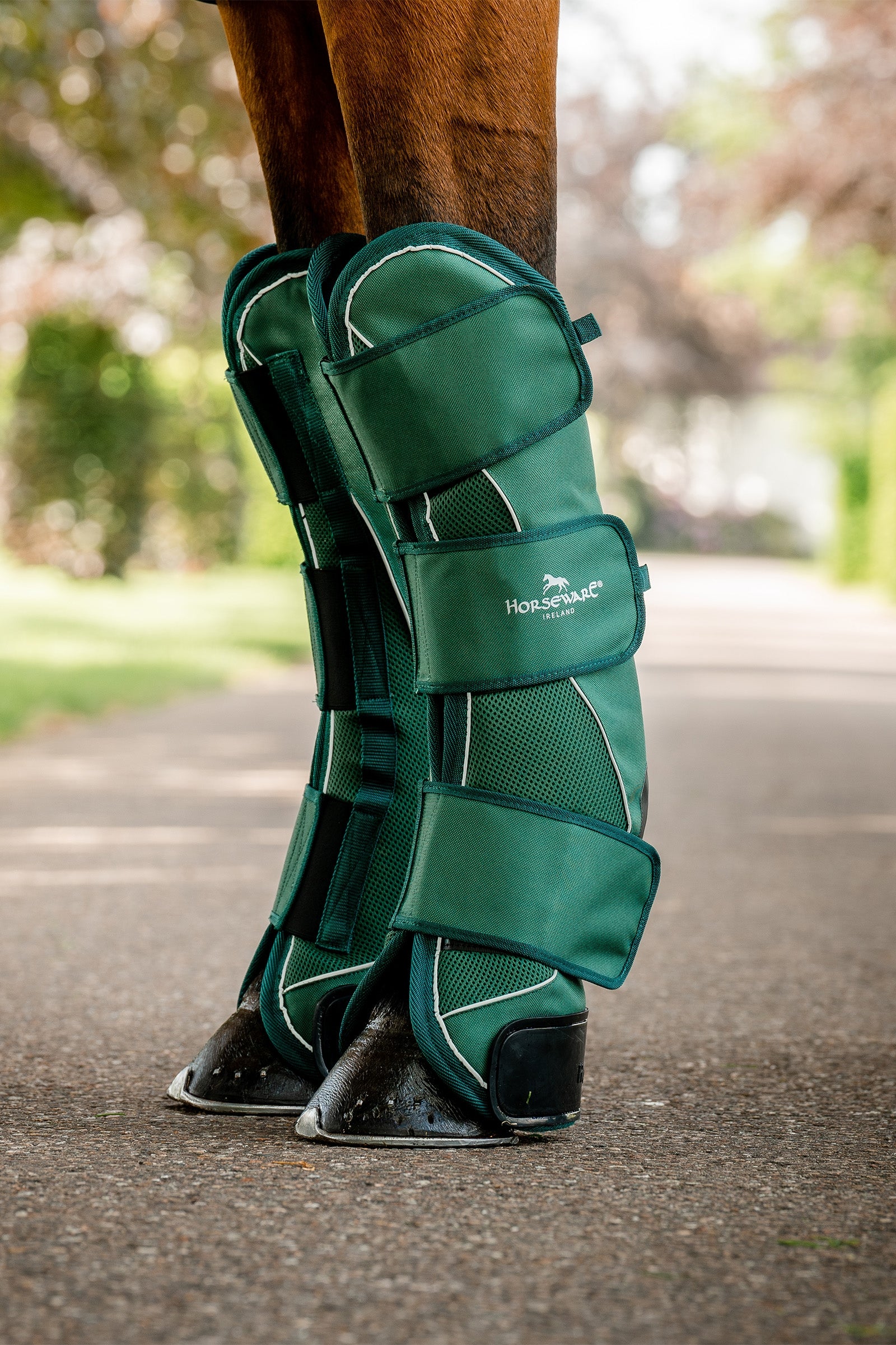 Horseware Signature Transportní Návleky Leg Protection & Hoof Protection for Horses