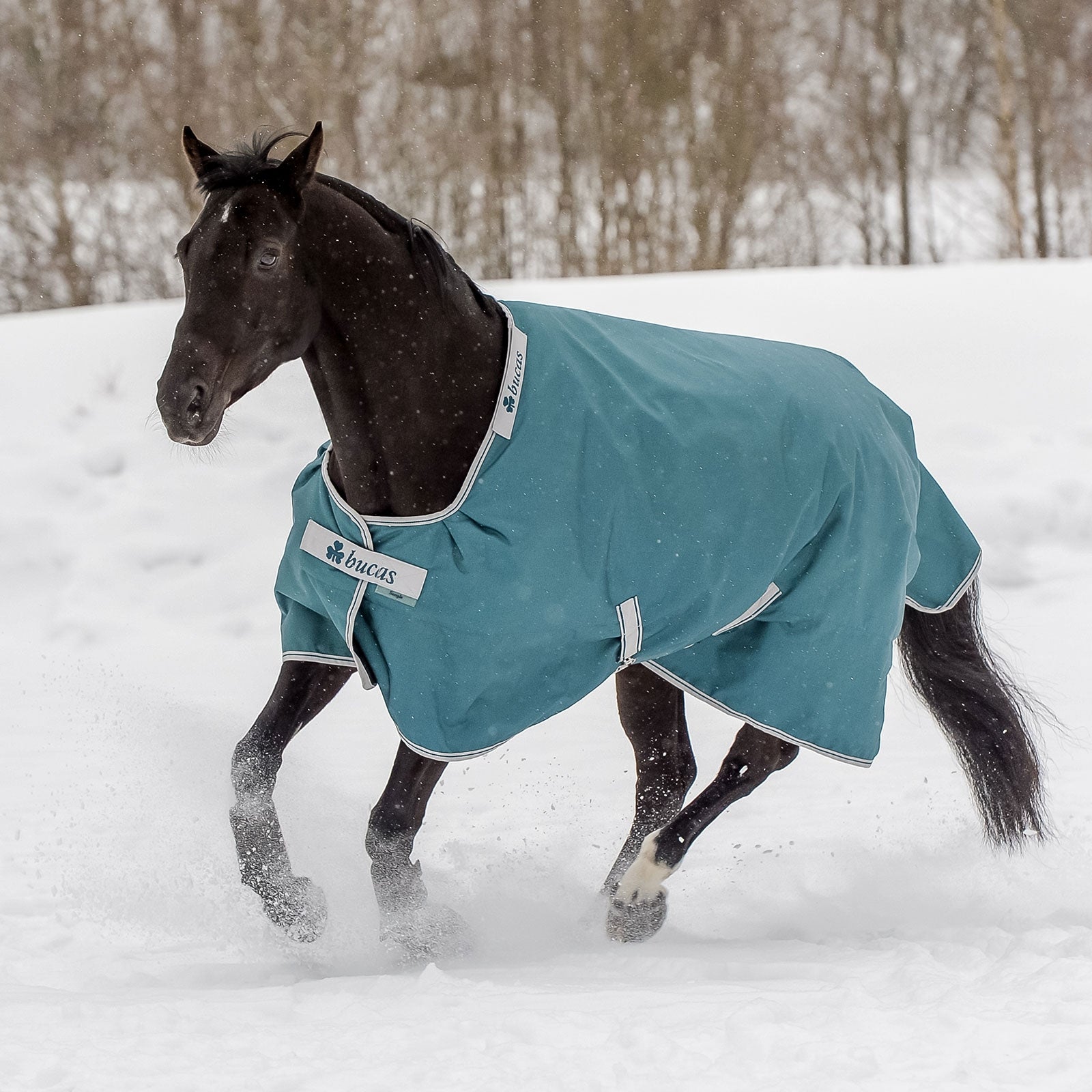 Bucas Atlantic Turnout Rug, 400g Horse Rugs