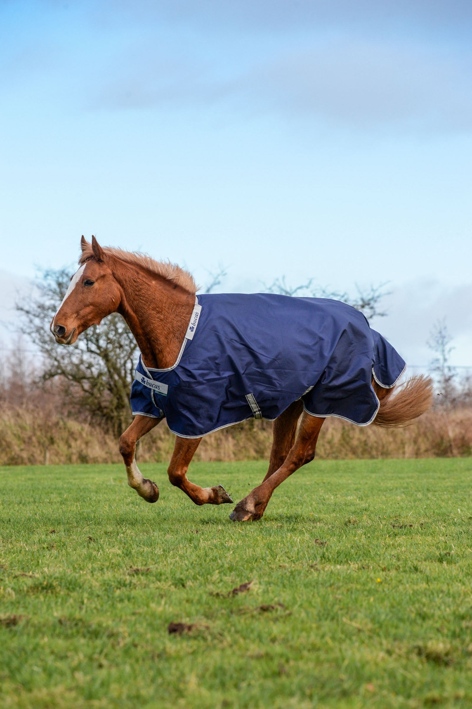 Bucas Atlantic koberec, 50 g Horse Rugs