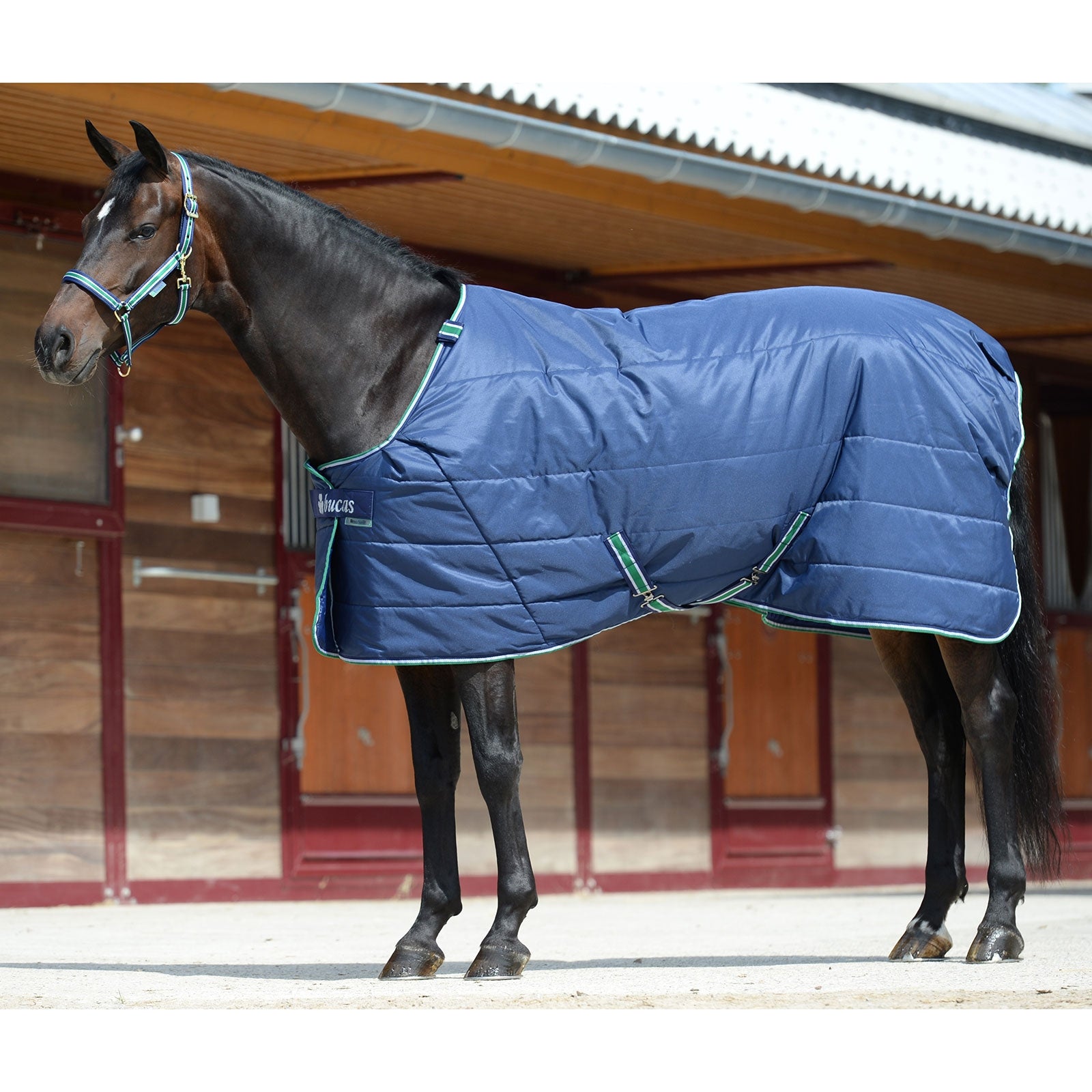 Bucas Quilt Stay Dry Under Rug, 300g Horse Rugs