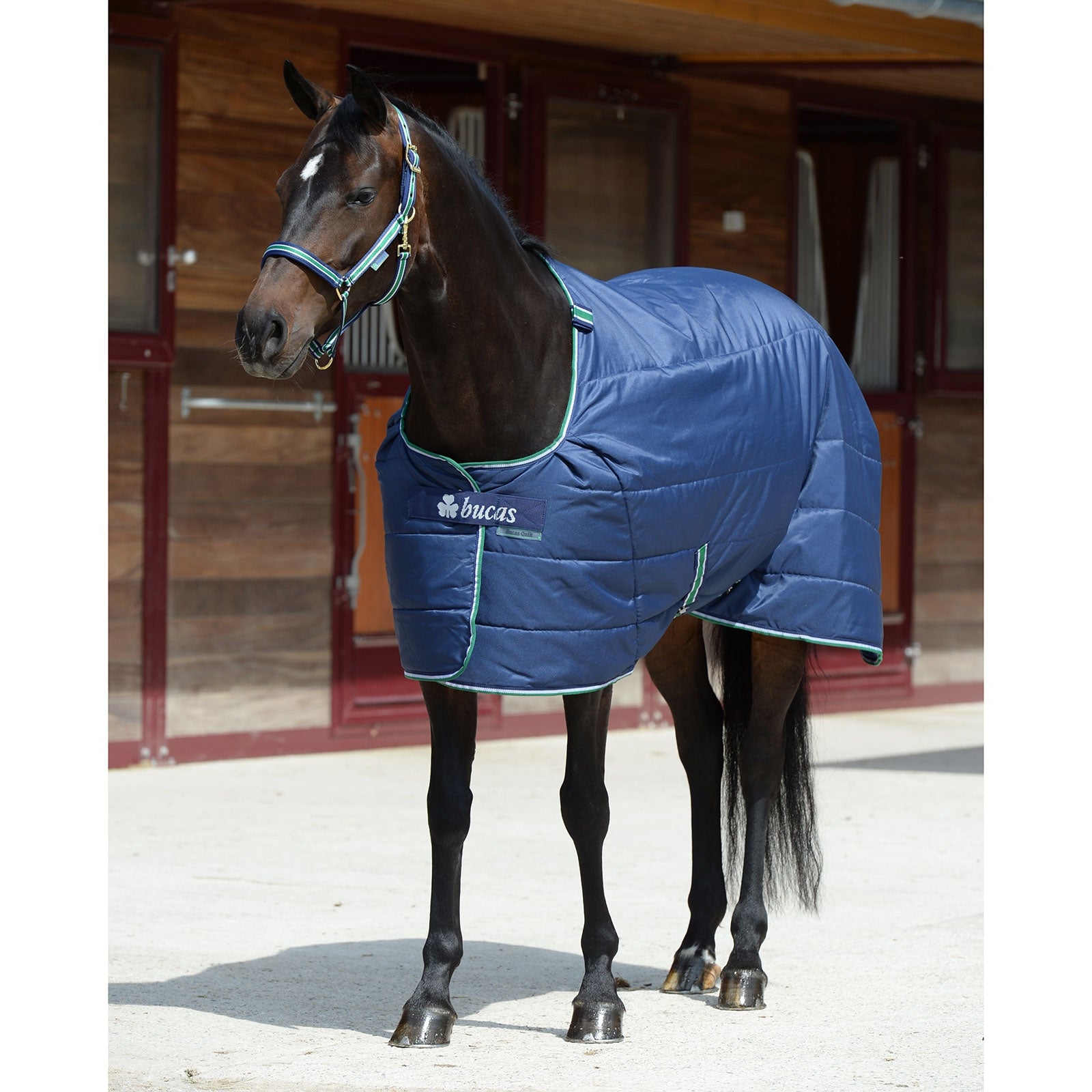 Bucas Quilt SF Under Rug, 300g Horse Rugs