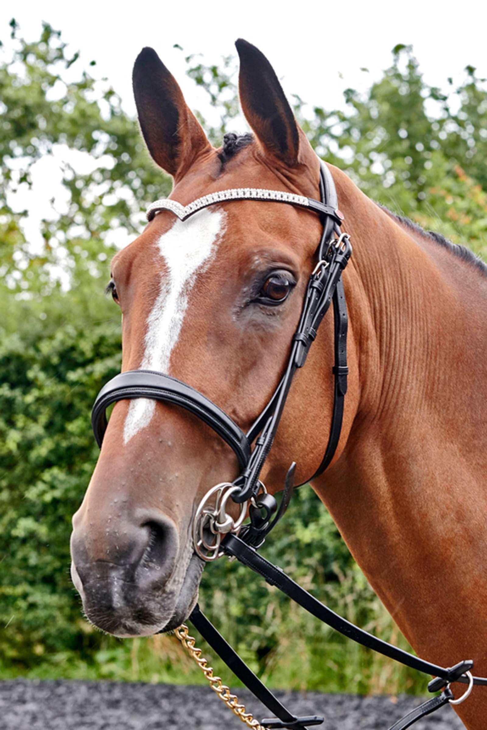 John Whitaker Lynton Snaffle Bridle with Spare Browband Bridles & Reins