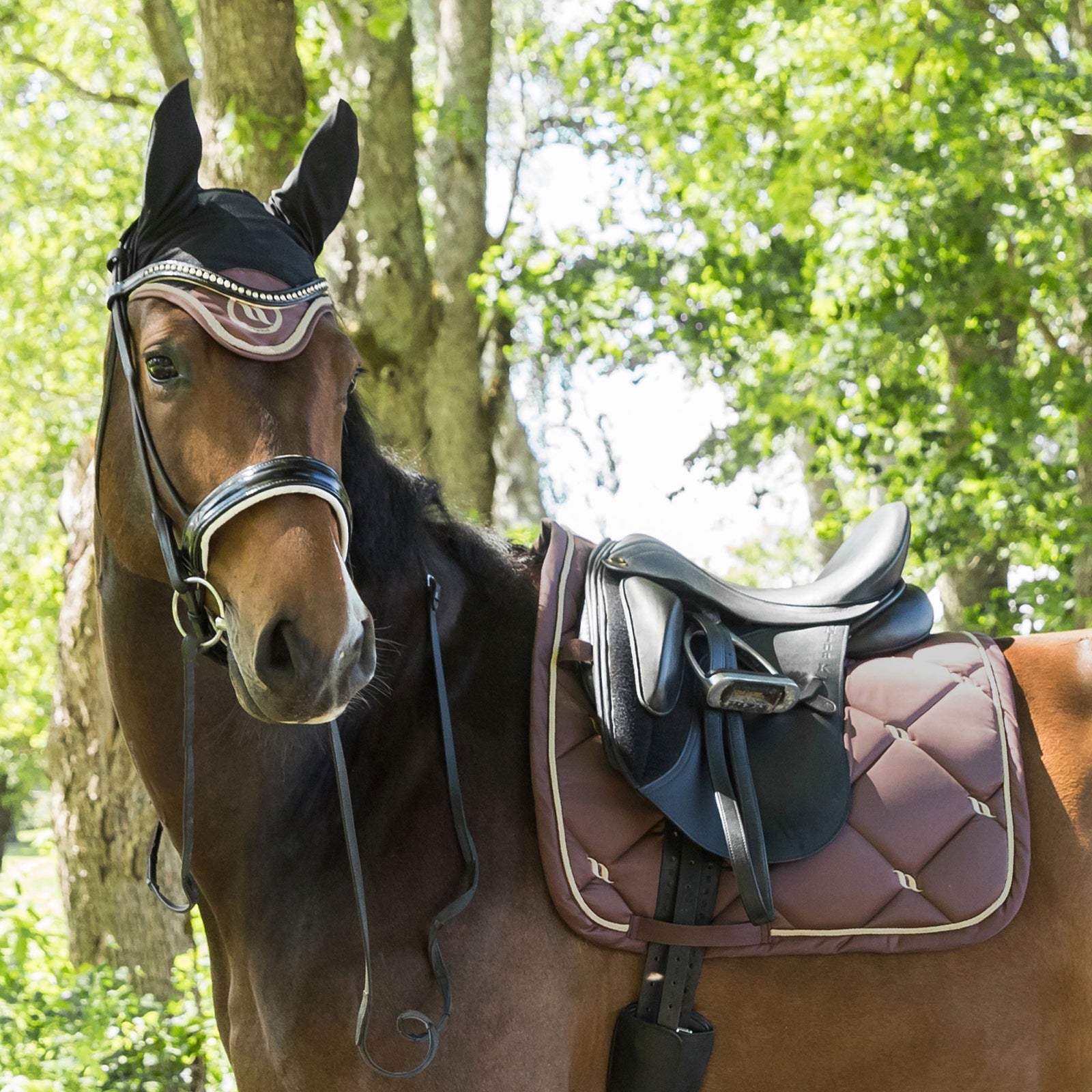 Back on Track Nights Collection Horse Bonnet With Welltex® Saddle Pads