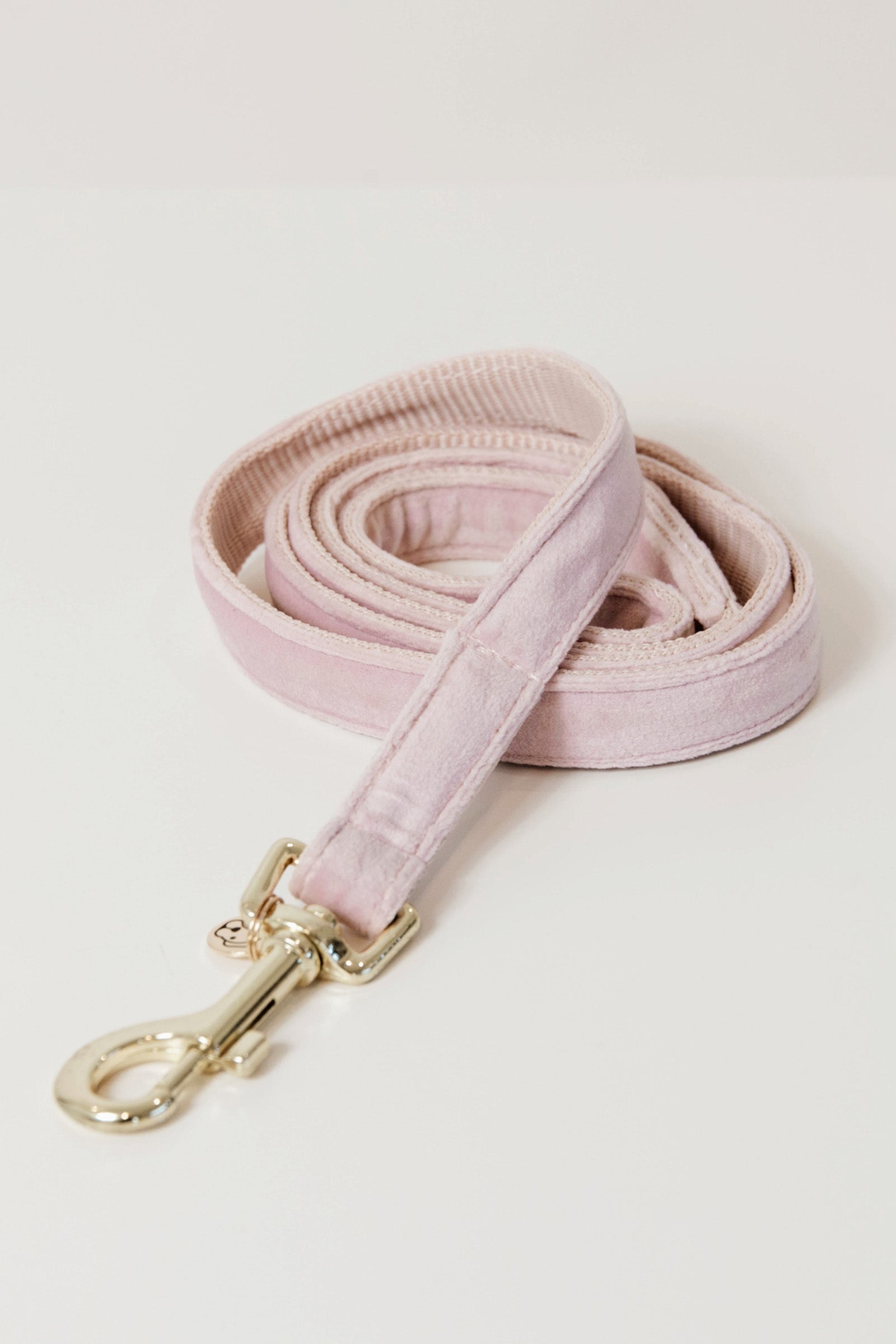 Kentucky Dogwear Dog Lead Velvet Dog Accesories
