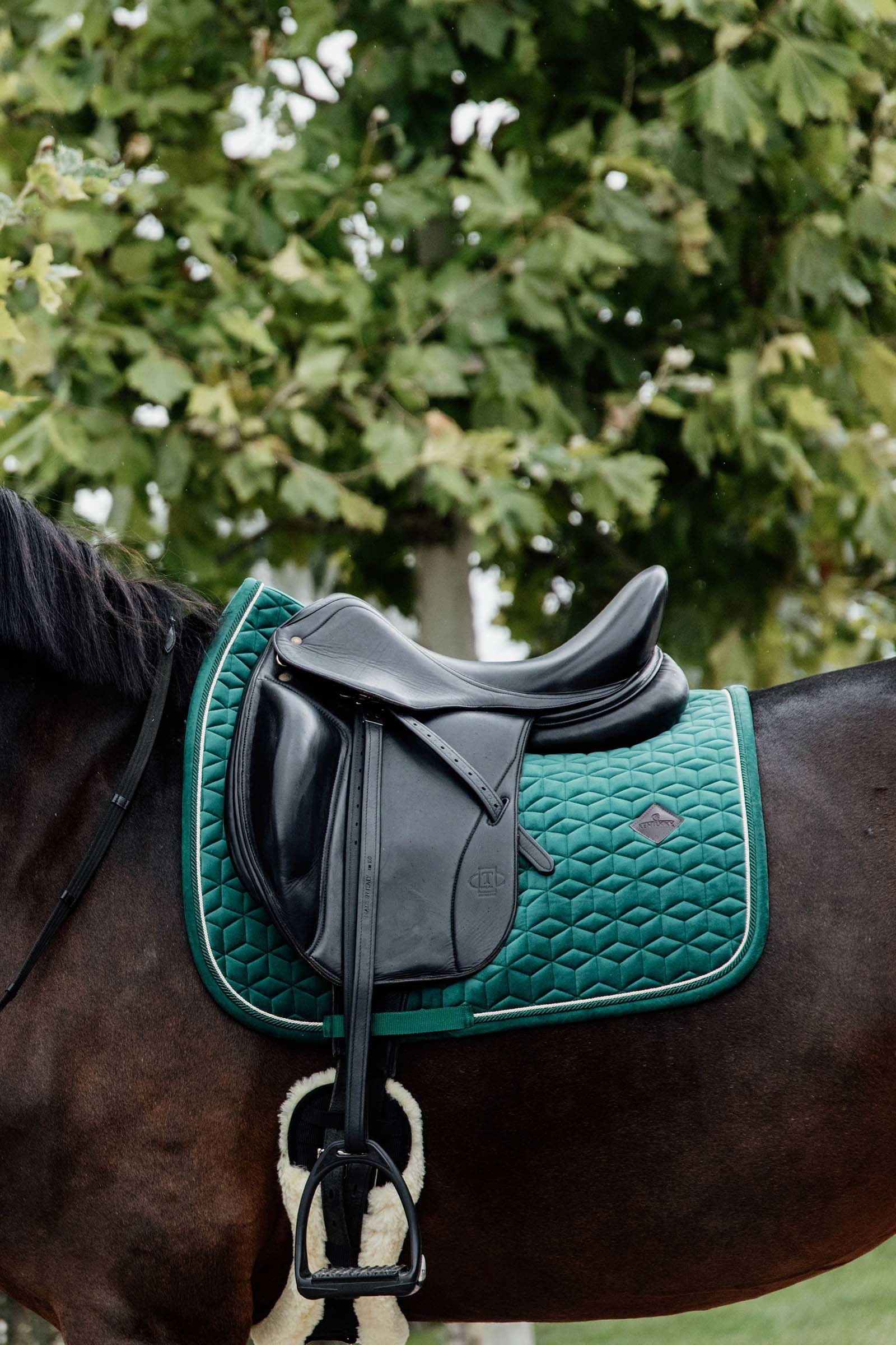 Kentucky Horsewear Velvet Dressage Saddle Pad Saddle Pads