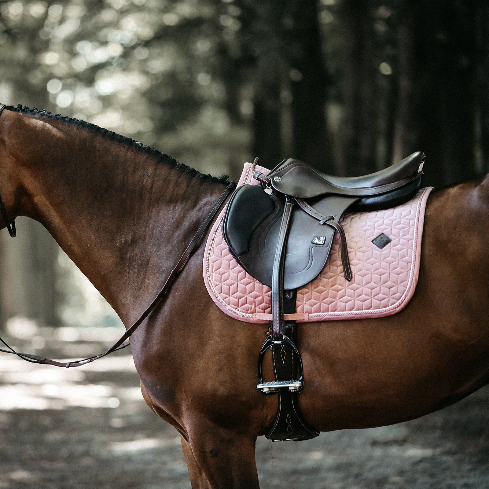Kentucky Horsewear Velvet Jumping Saddle Pad Saddle Pads