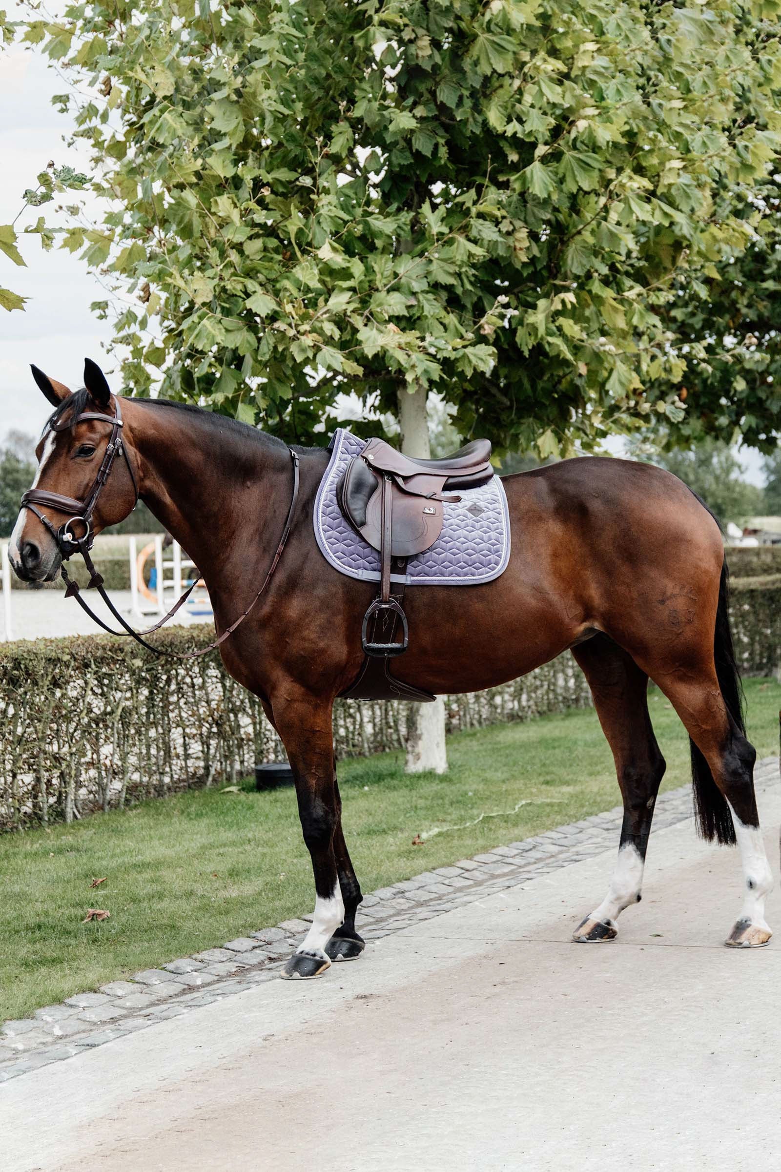 Kentucky Horsewear Velvet Jumping Saddle Pad Saddle Pads