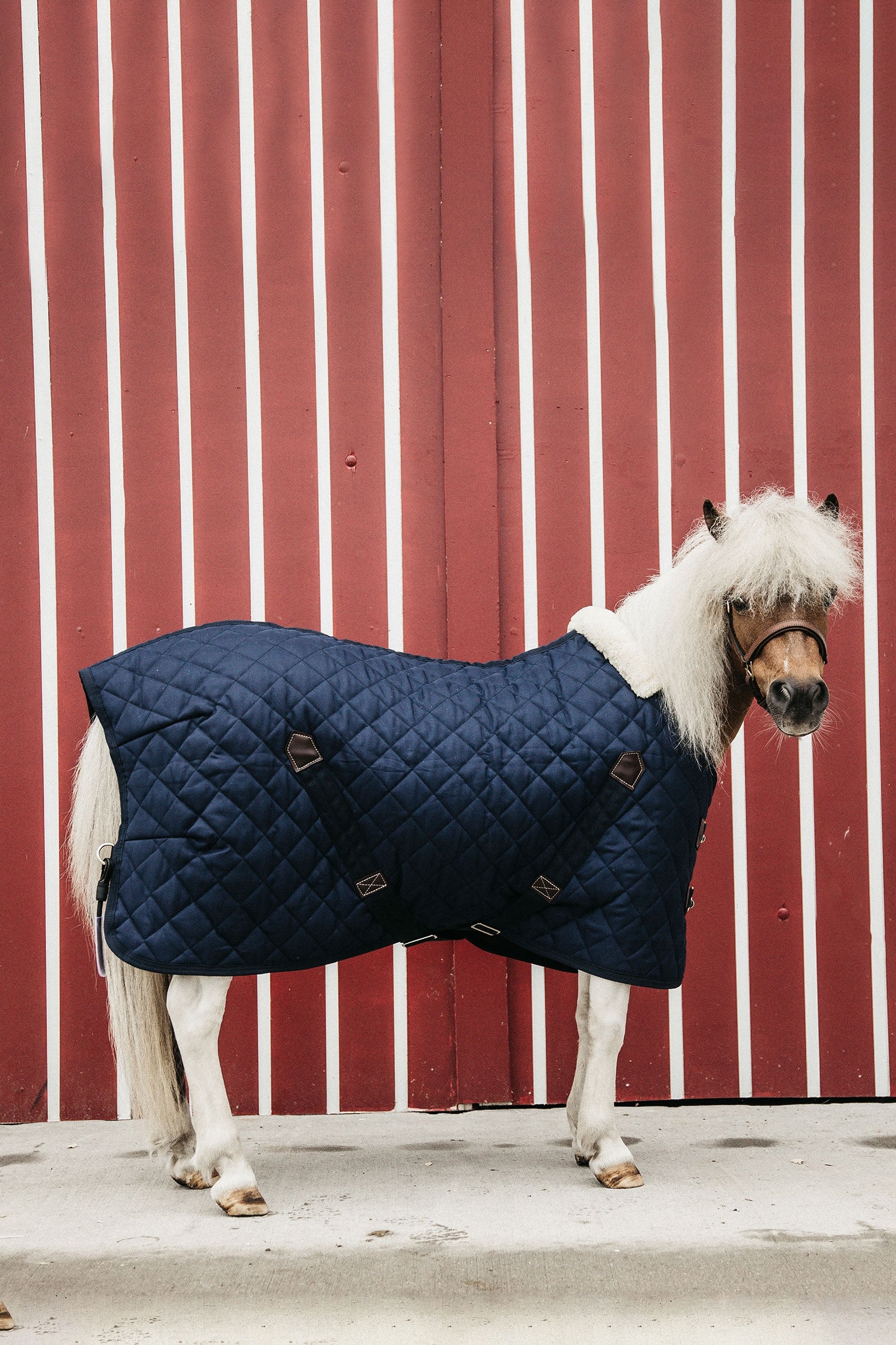 Kentucky Horsewear Tiny Pony Stable Rug, 400g Horse Rugs
