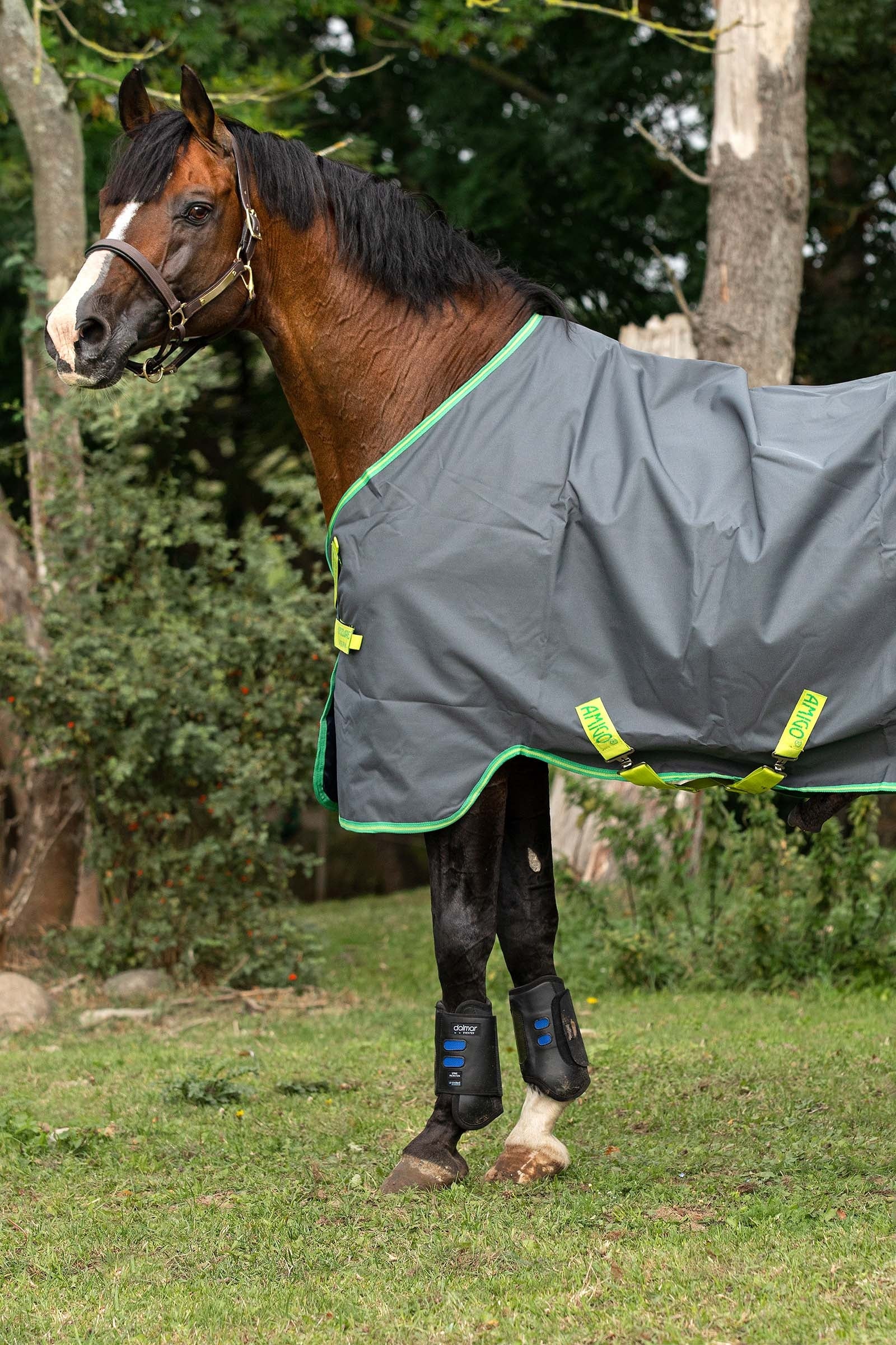 Horseware Amigo Hero 900 Lite Disc Turnout Rug, 0g Horse Rugs