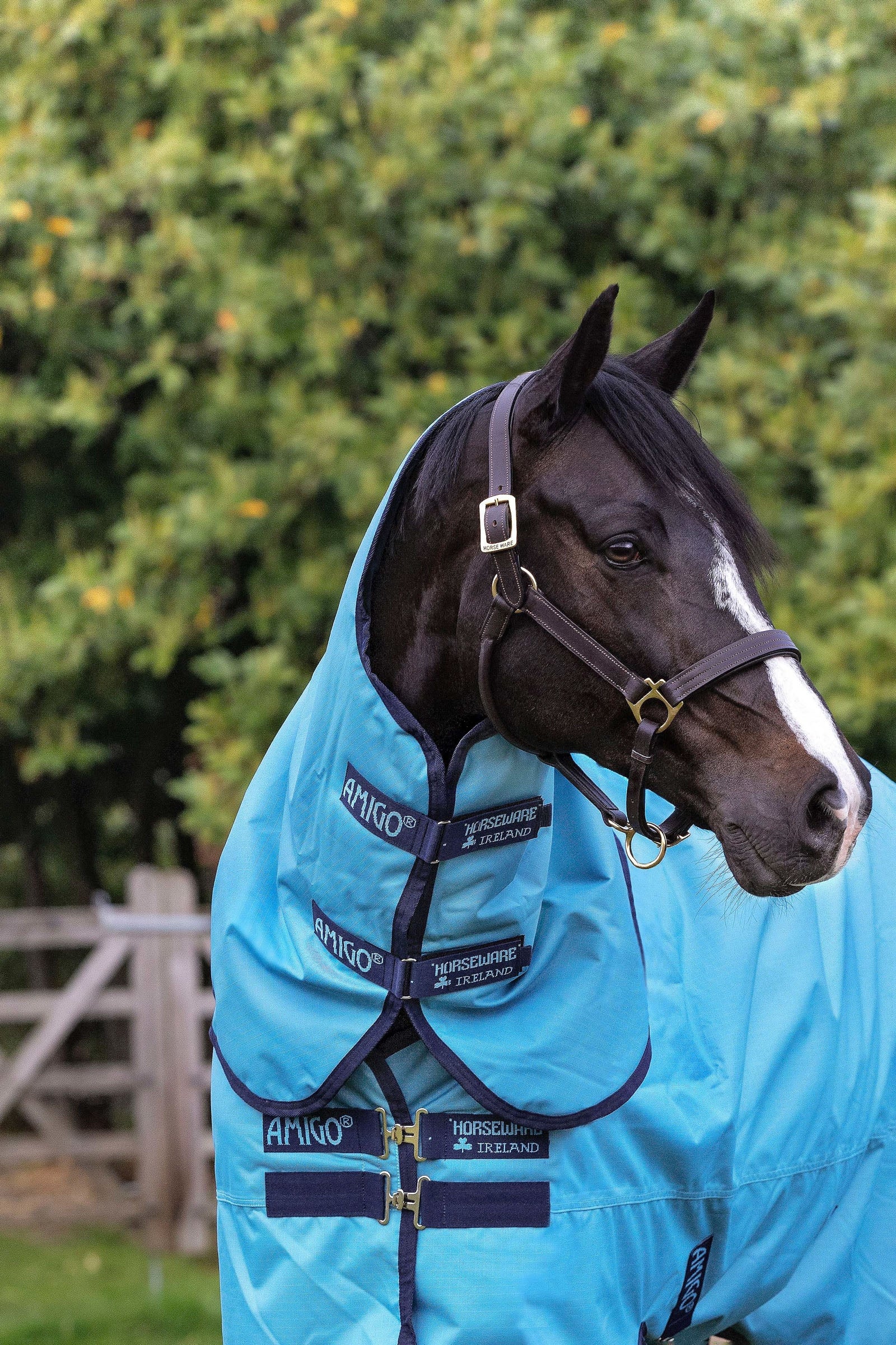 Horseware Amigo Hero Ripstop Hood 0g Horse Rugs