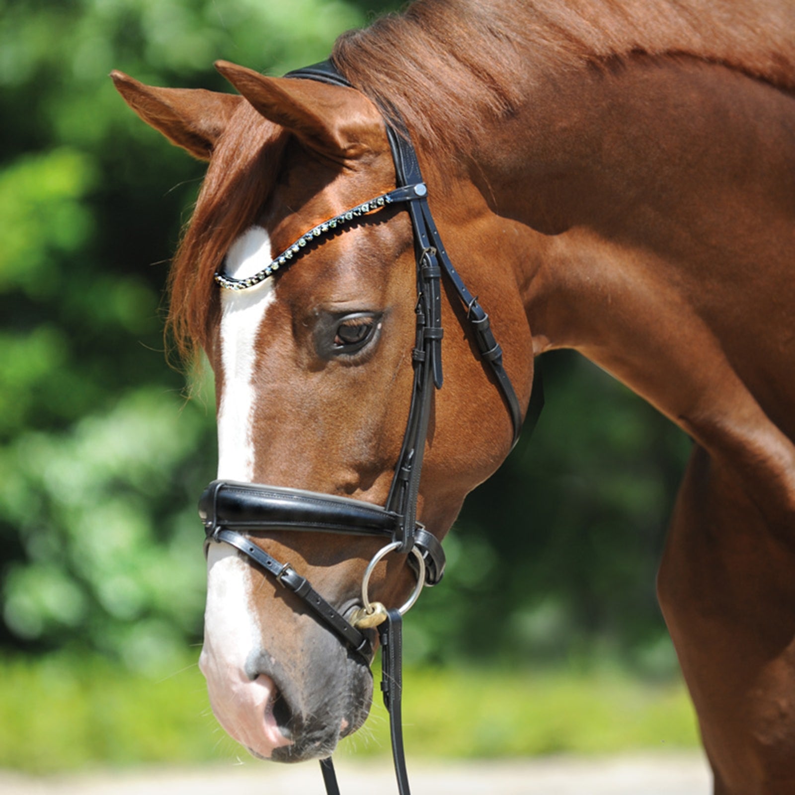 Kavalkade Grey Bridle Bridles & Reins