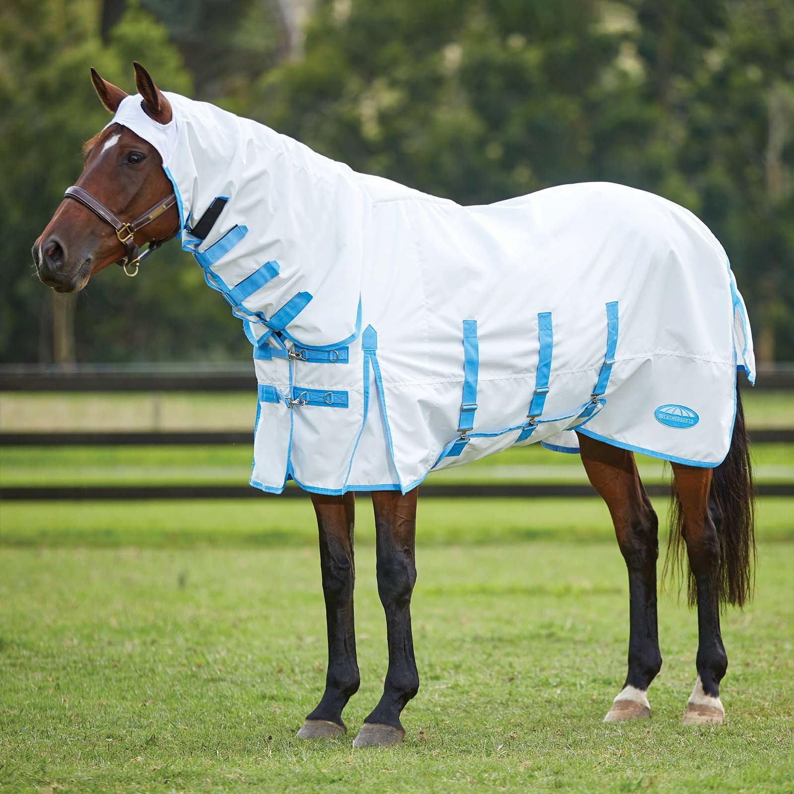 Weatherbeeta Comfitec Ekzémové deky s pevně připojeným krkem Horse Rugs