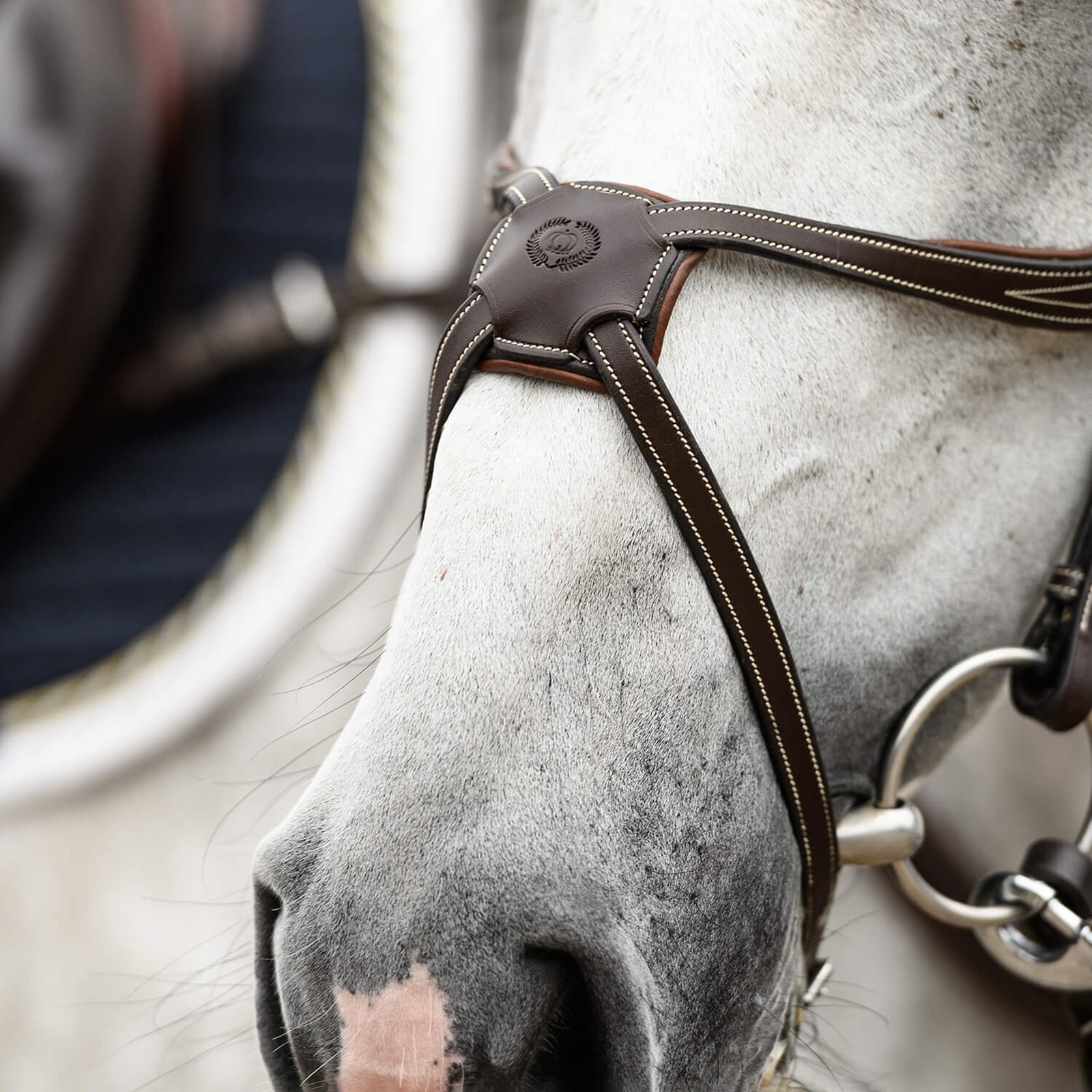 PS of Sweden Athens Mexican Bridle Bridles & Reins